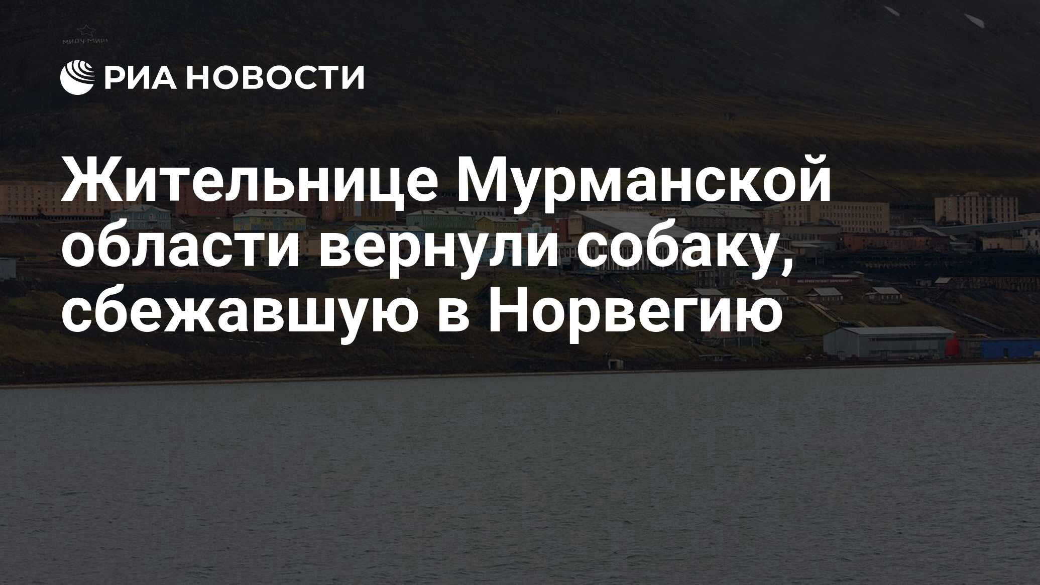 Жительнице Мурманской области вернули собаку, сбежавшую в Норвегию - РИА  Новости, 22.05.2023