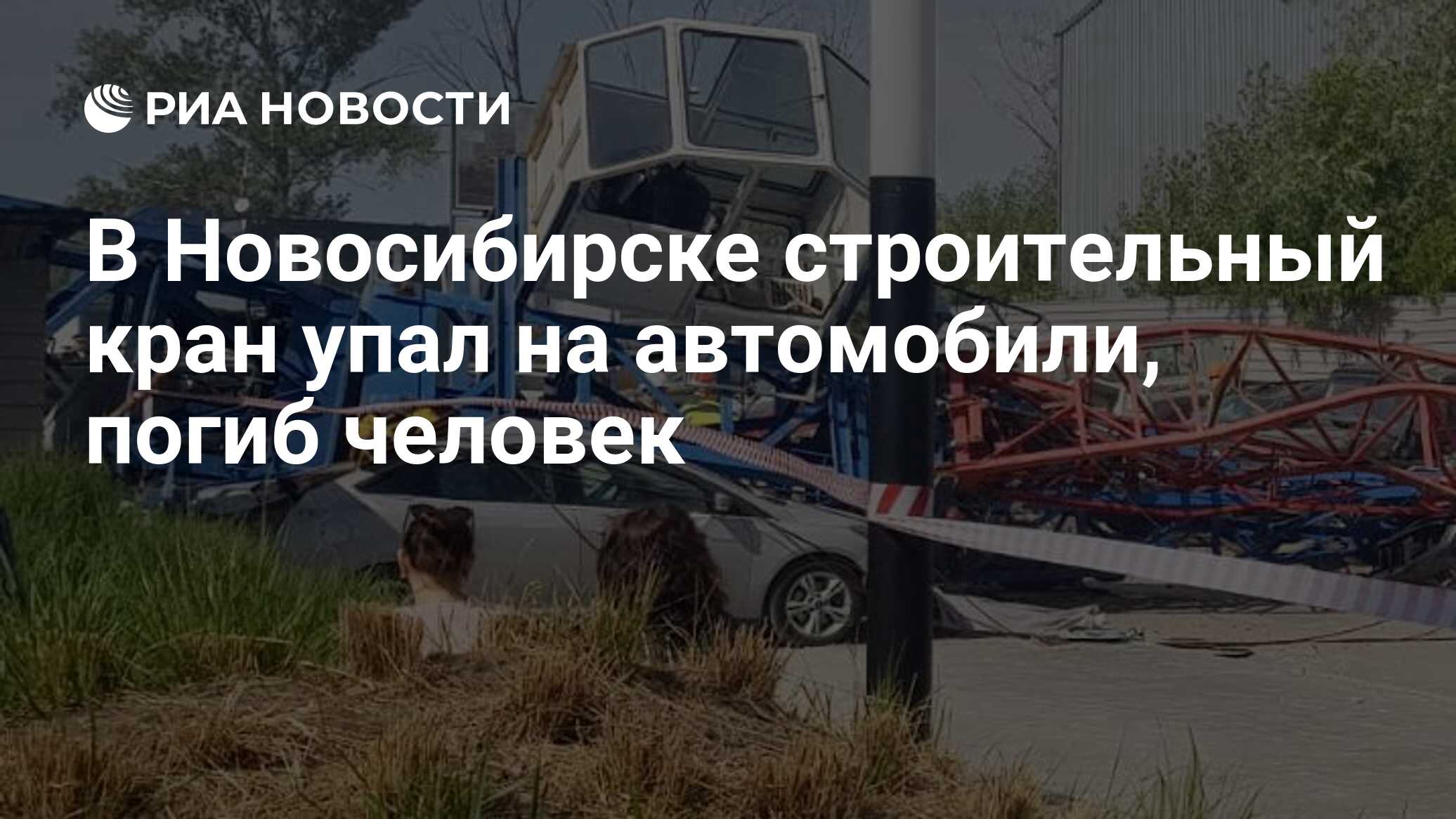 В Новосибирске строительный кран упал на автомобили, погиб человек - РИА  Новости, 15.06.2023