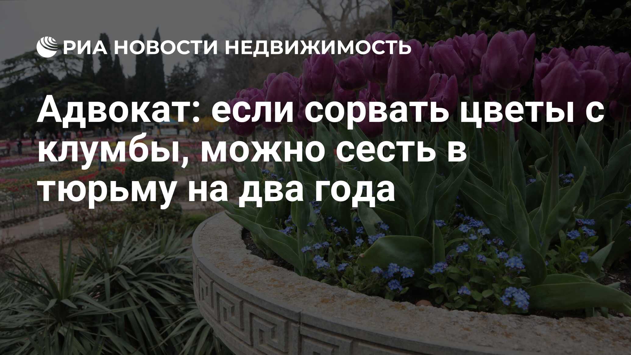 Адвокат: если сорвать цветы с клумбы, можно сесть в тюрьму на два года -  Недвижимость РИА Новости, 17.06.2023