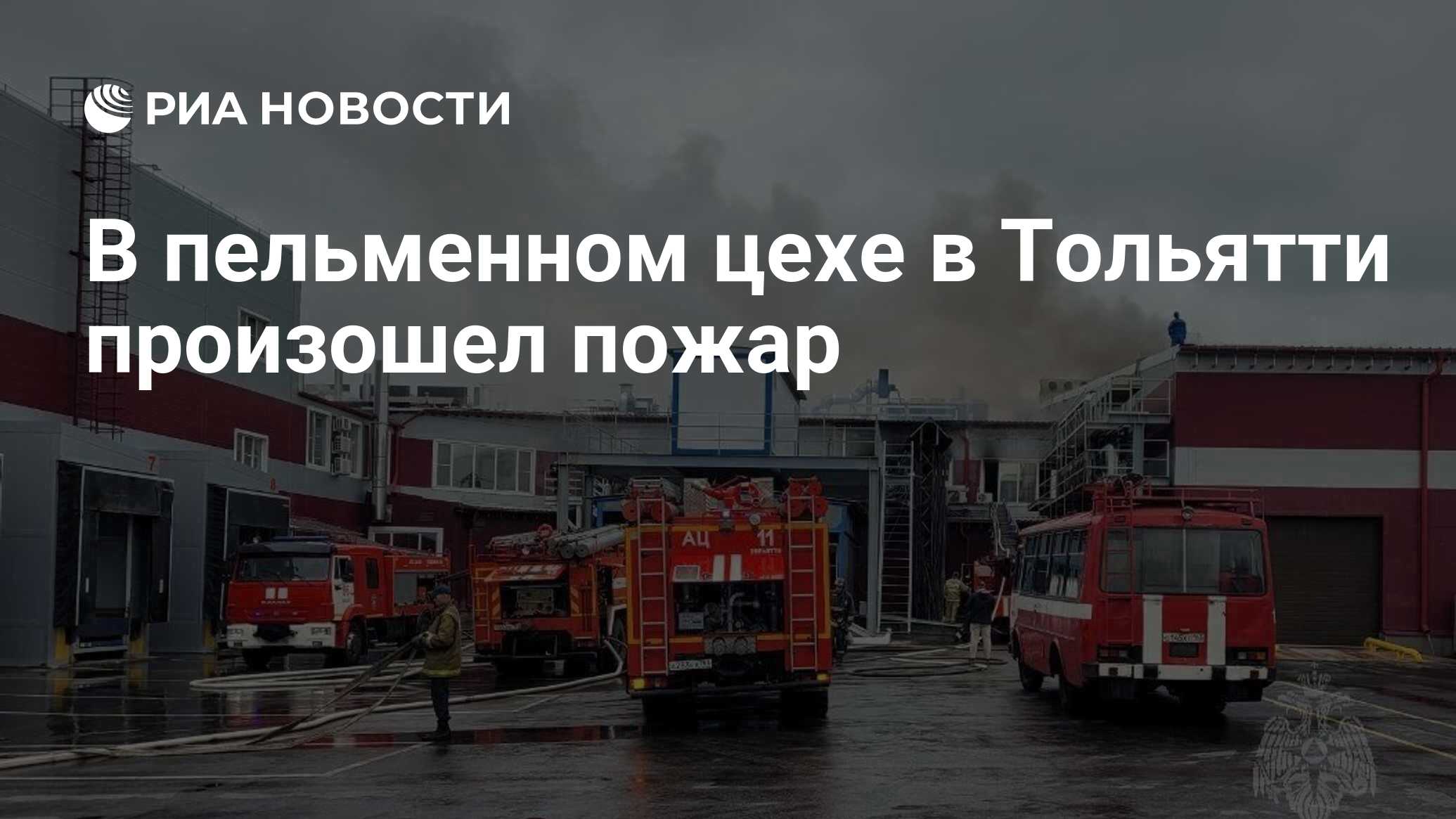 В пельменном цехе в Тольятти произошел пожар - РИА Новости, 25.06.2023