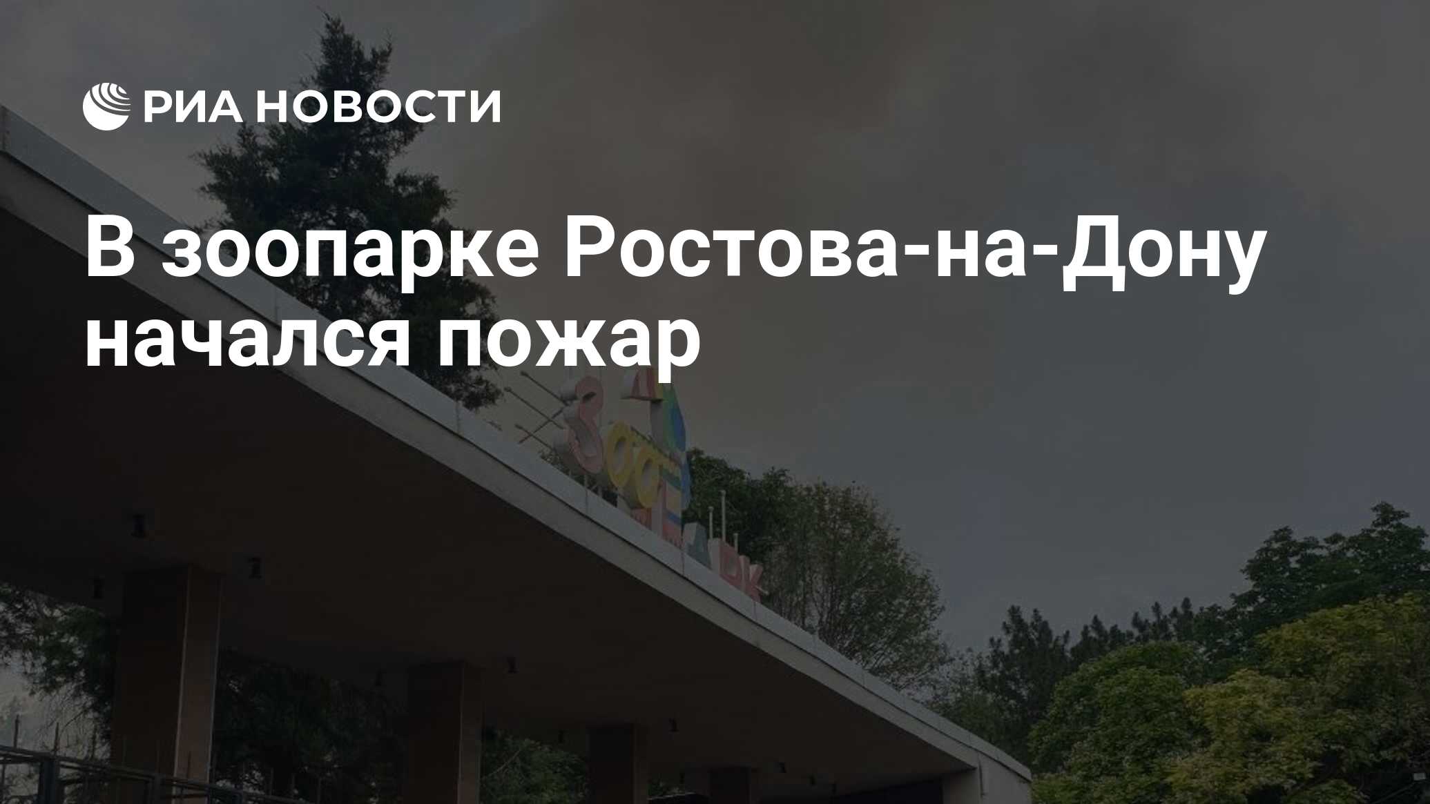 В зоопарке Ростова-на-Дону начался пожар - РИА Новости, 26.06.2023