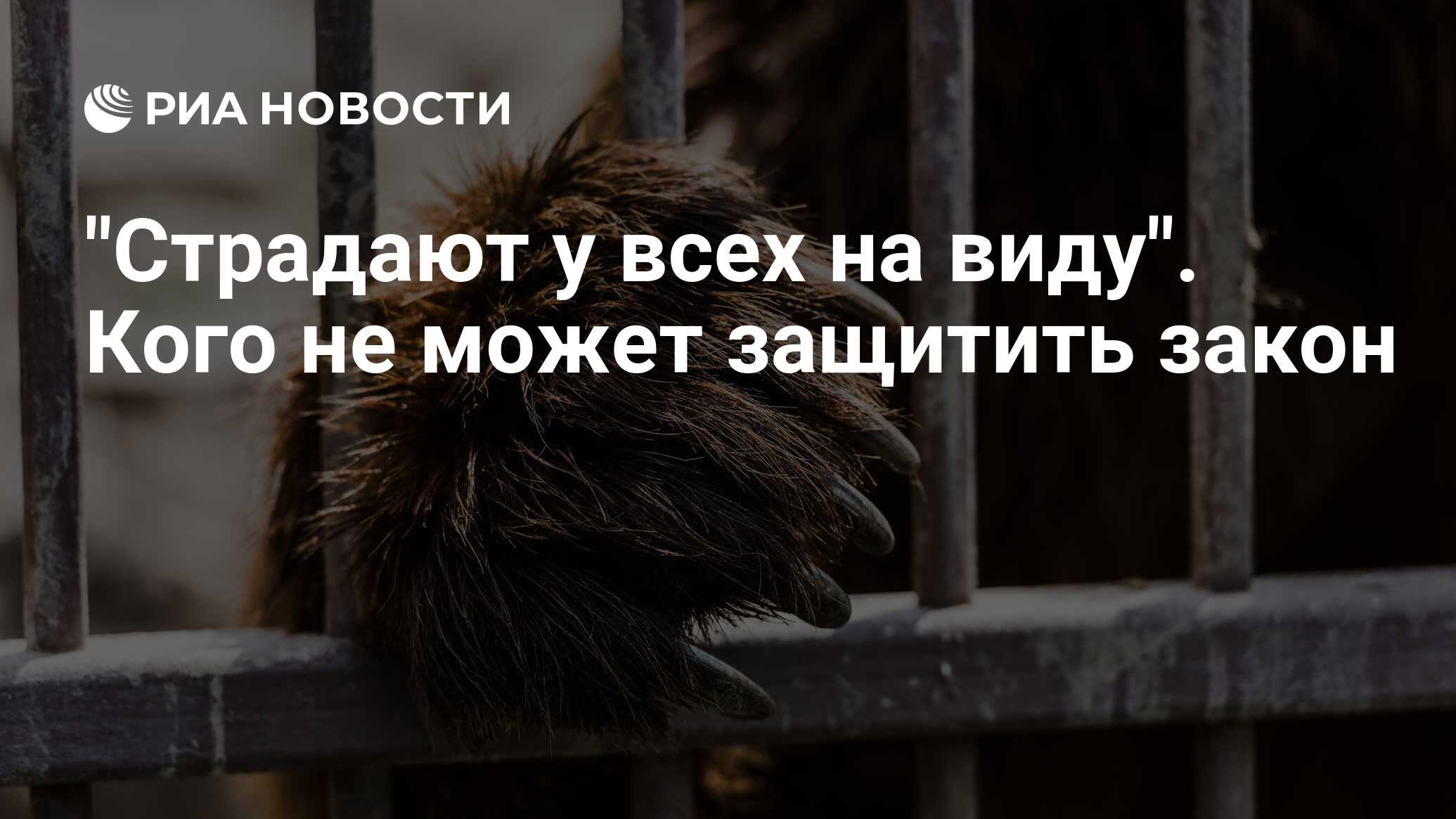 Страдают у всех на виду