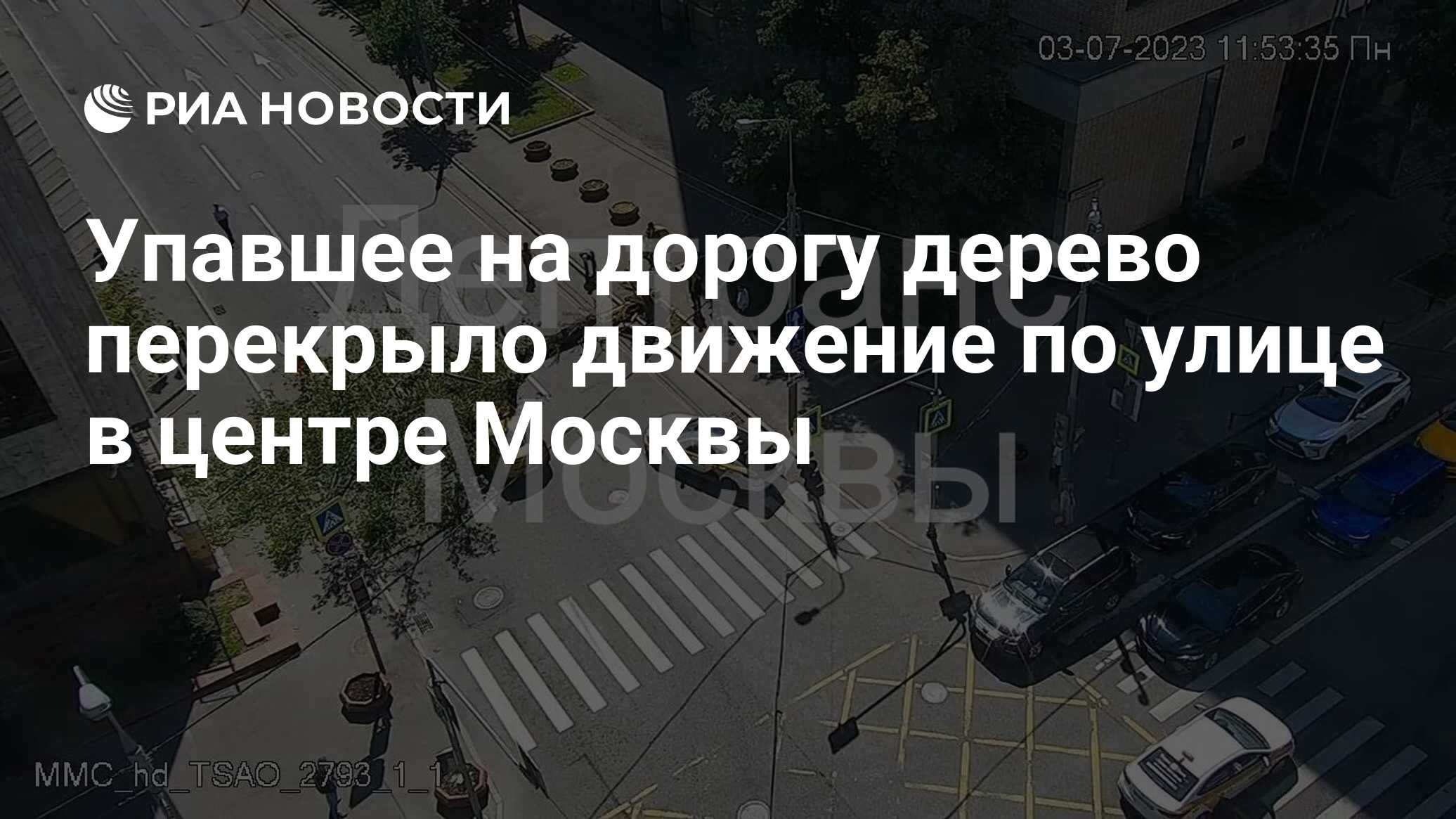 Упавшее на дорогу дерево перекрыло движение по улице в центре Москвы - РИА  Новости, 03.07.2023