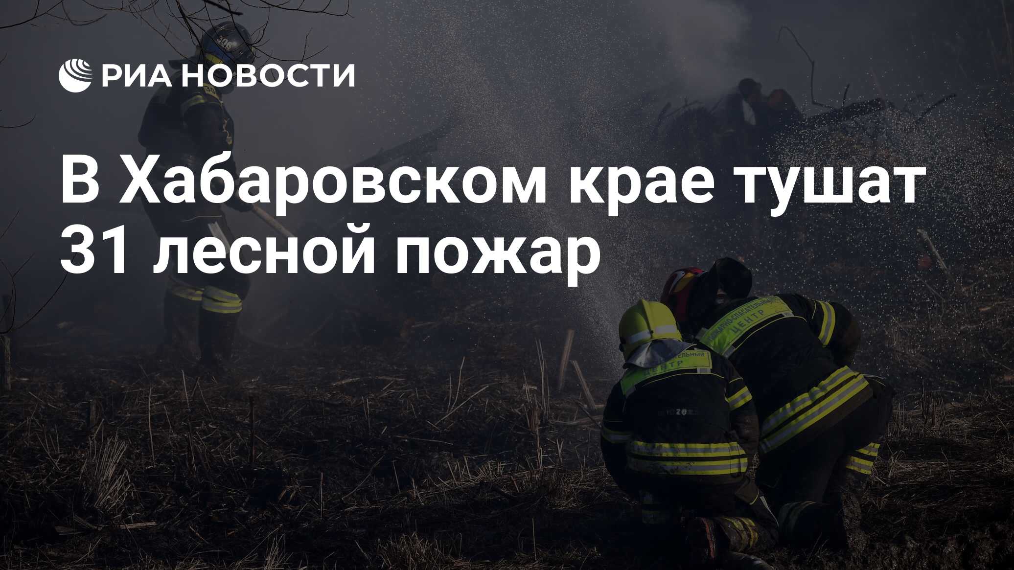Карта лесных пожаров хабаровский край
