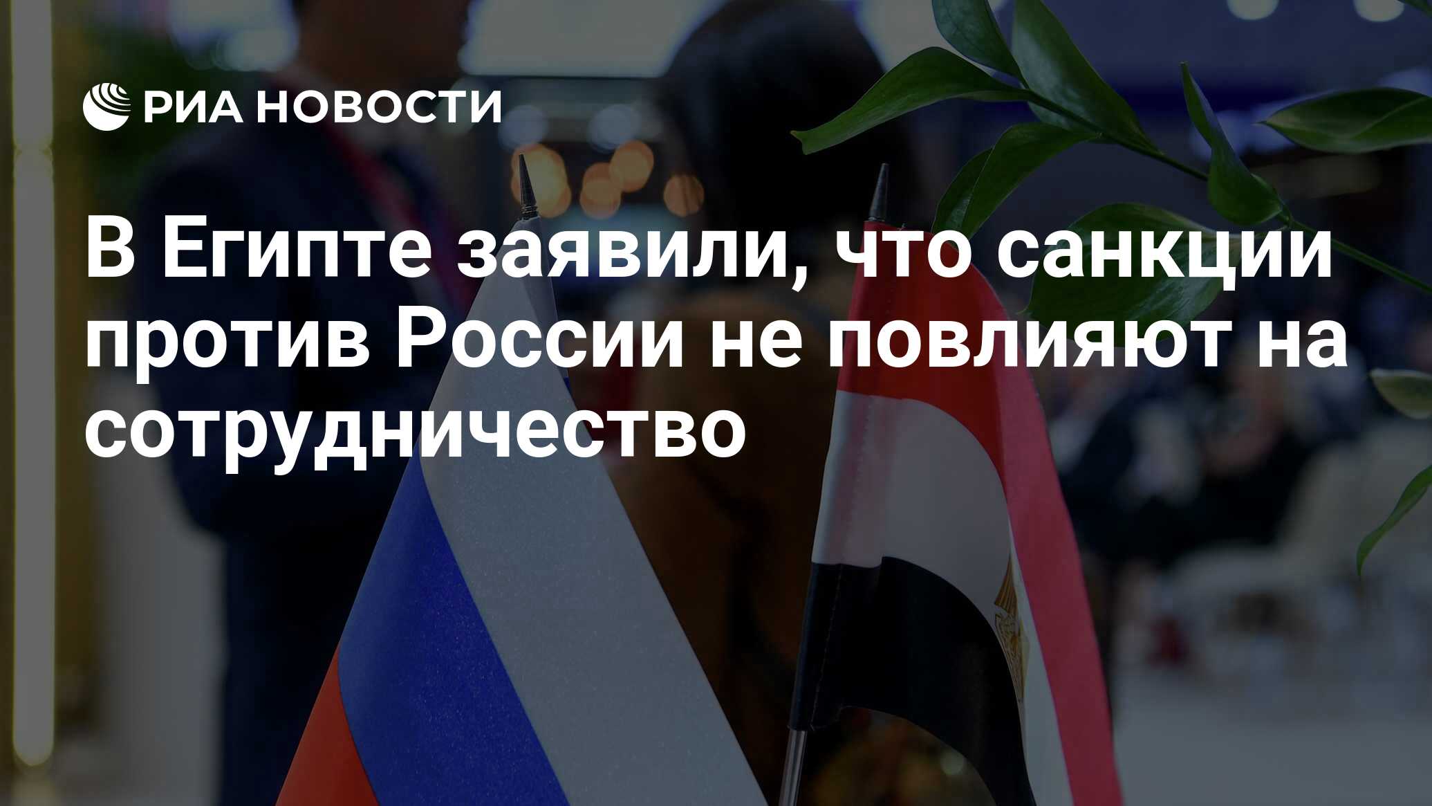 В Египте заявили, что санкции против России не повлияют на сотрудничество -  РИА Новости, 05.07.2023