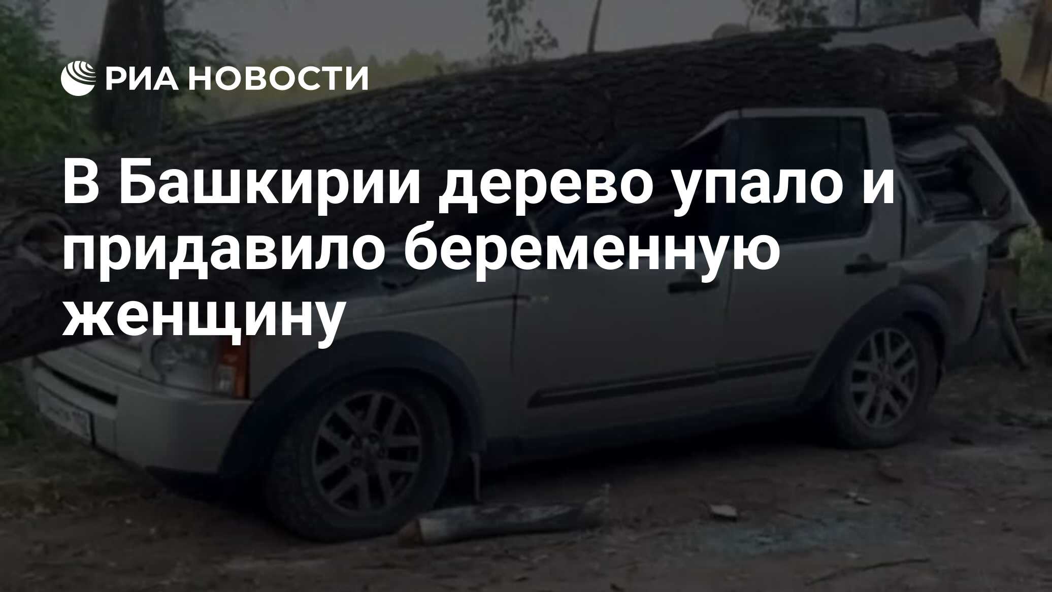 В Башкирии дерево упало и придавило беременную женщину - РИА Новости,  09.07.2023