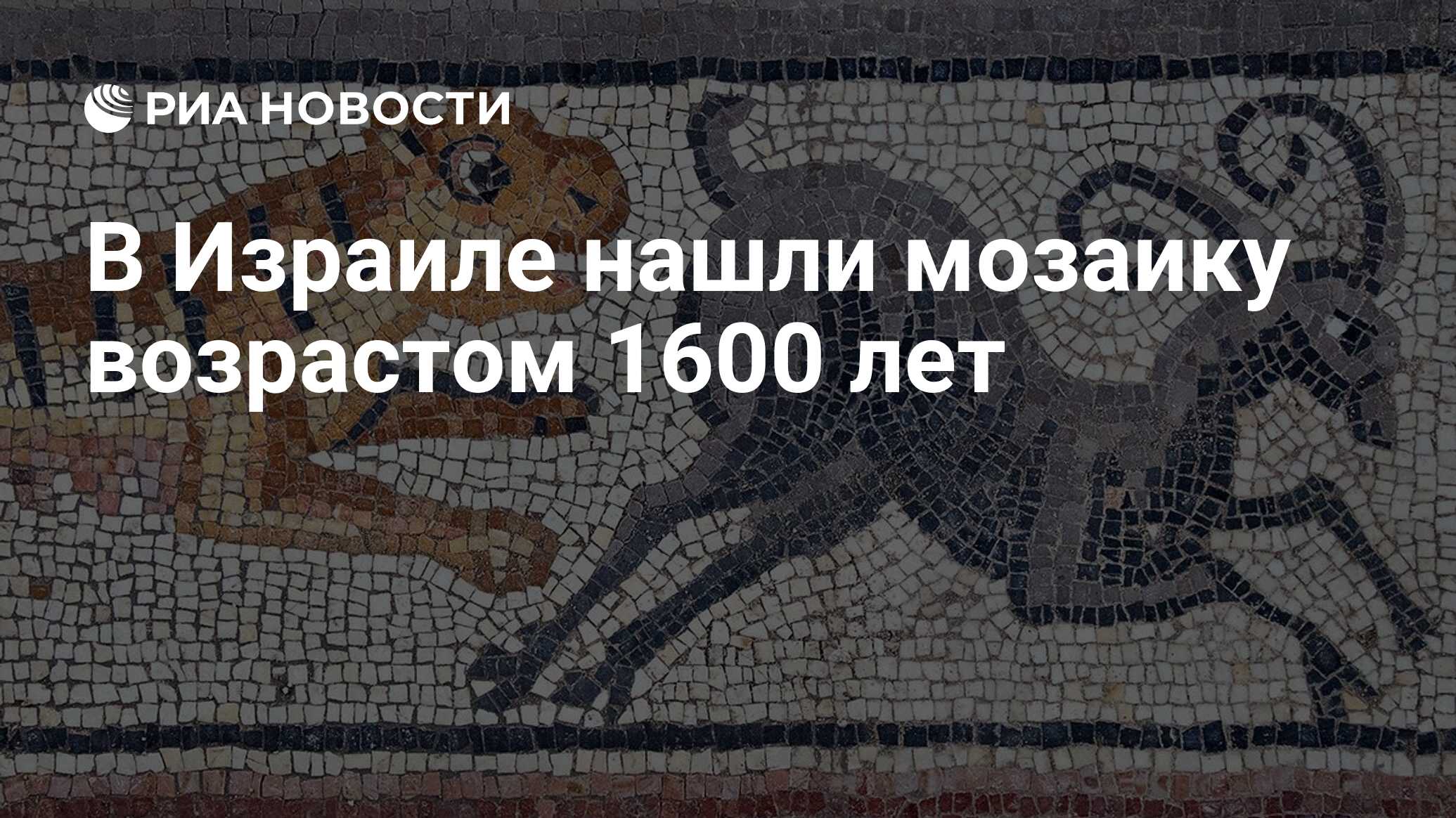 римская мозаика источники. мозаика римская пол в раскопки. стол мозаика римская. обрела мозаика. византийская мозаика храм древний.