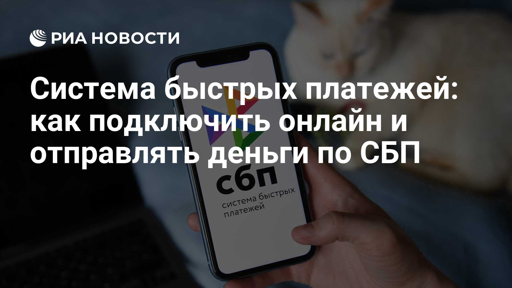 Система быстрых платежей: что это, как подключить СБП, перевод денег онлайн