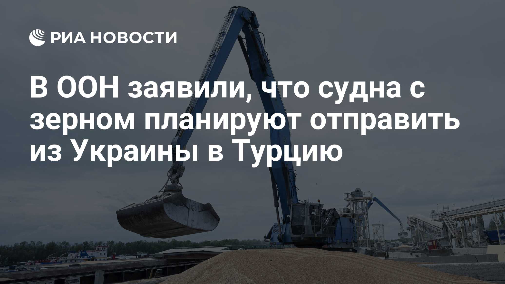 В ООН заявили, что судна с зерном планируют отправить из Украины в Турцию -  РИА Новости, 14.07.2023