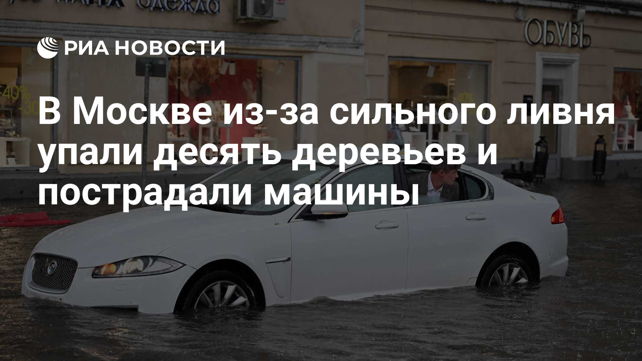 В Москве из-за сильного ливня упали десять деревьев и пострадали машины -  РИА Новости, 18.07.2023