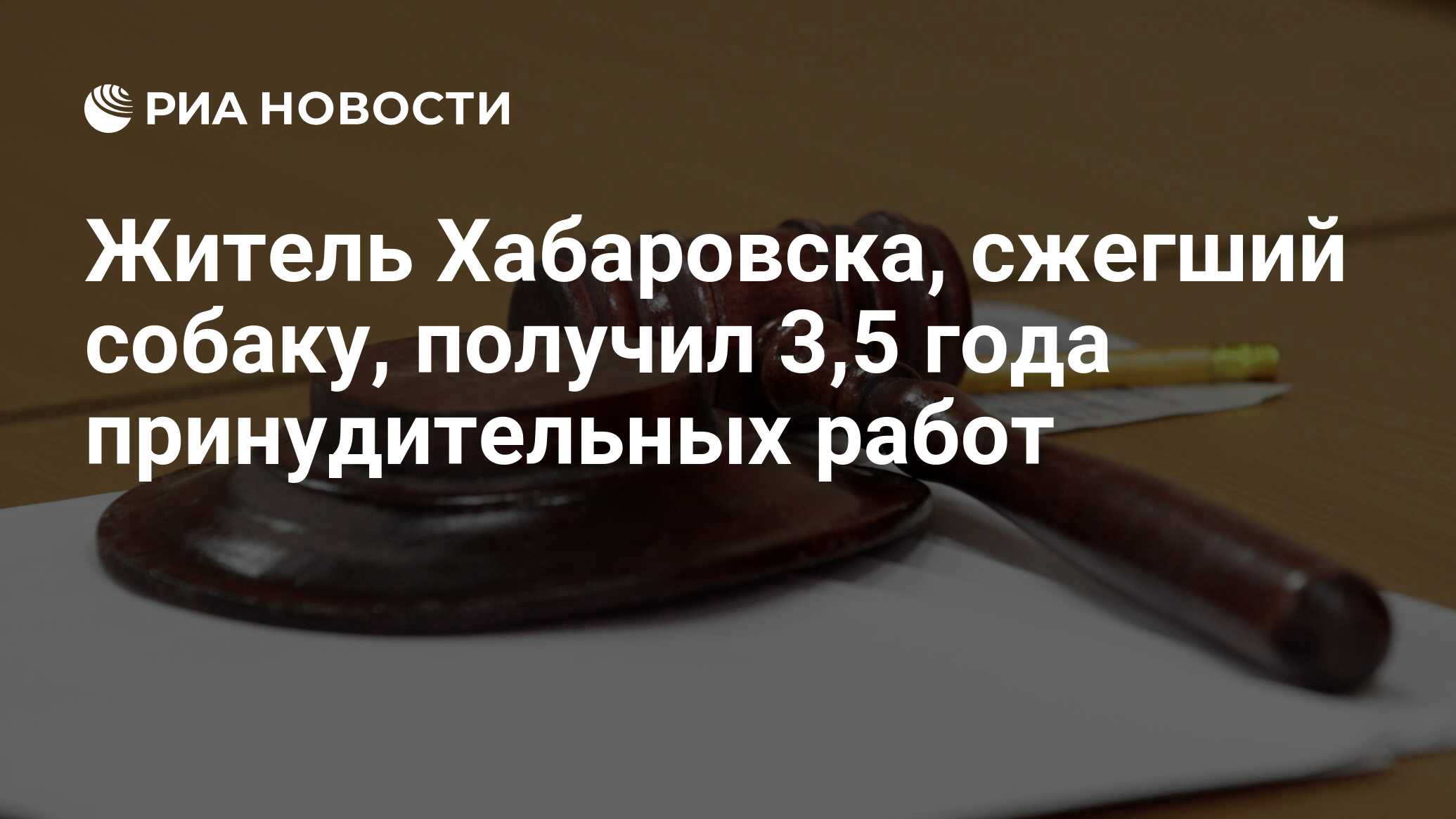 Житель Хабаровска, сжегший собаку, получил 3,5 года принудительных работ -  РИА Новости, 07.08.2023