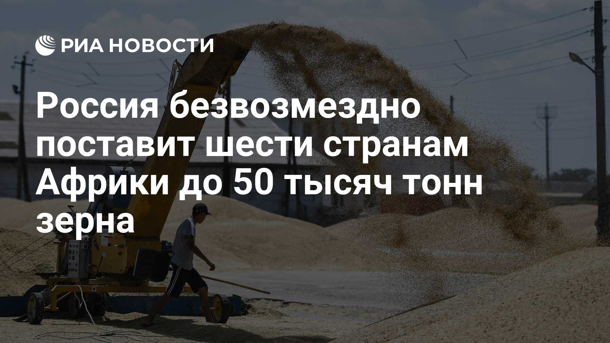 Россия безвозмездно поставит шести странам Африки до 50 тысяч тонн зерна -  РИА Новости, 10.08.2023