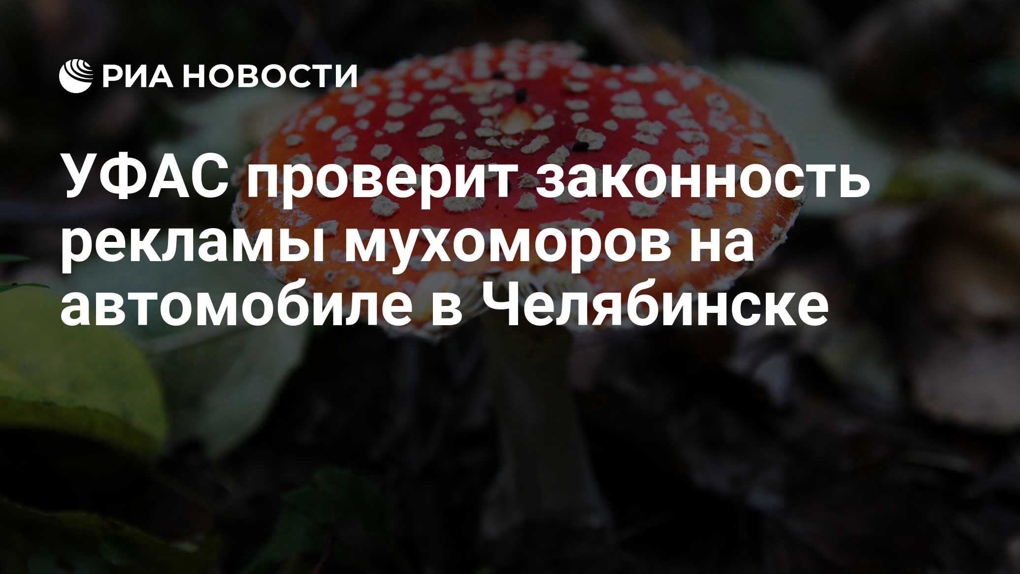 УФАС проверит законность рекламы мухоморов на автомобиле в Челябинске - РИА  Новости, 15.08.2023