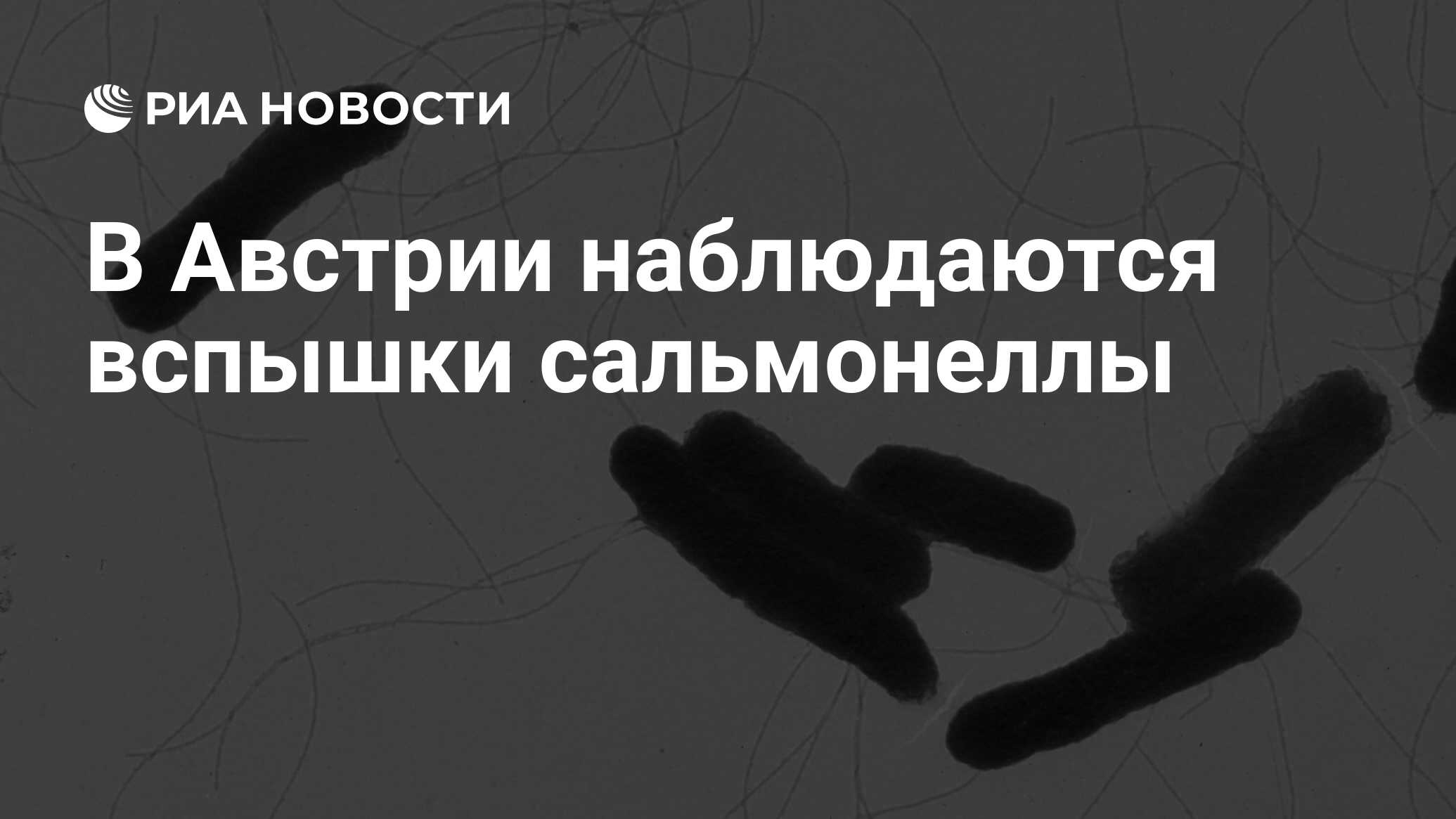 В Австрии наблюдаются вспышки сальмонеллы - РИА Новости, 16.08.2023