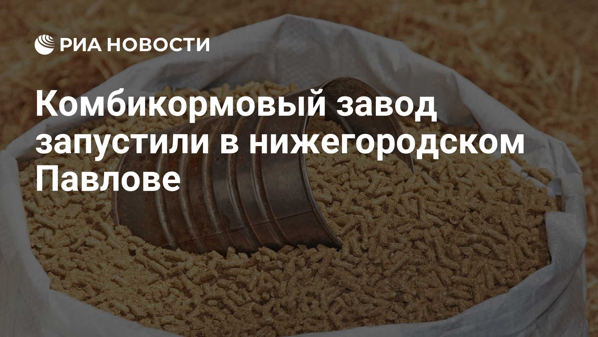 Комбикормовый завод запустили в нижегородском Павлове - РИА Новости, 30.08.2023