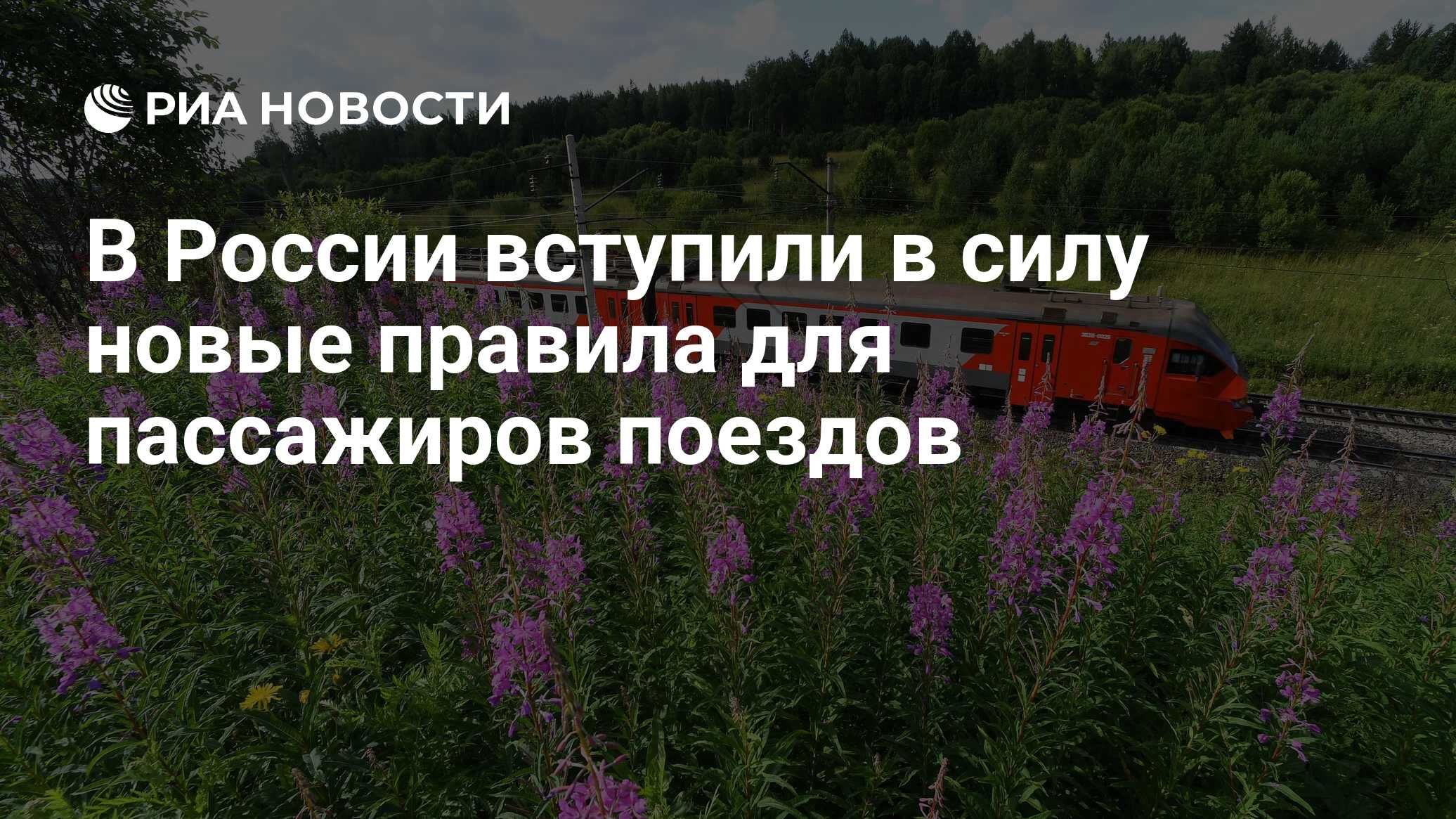 В России вступили в силу новые правила для пассажиров поездов - РИА  Новости, 13.09.2023