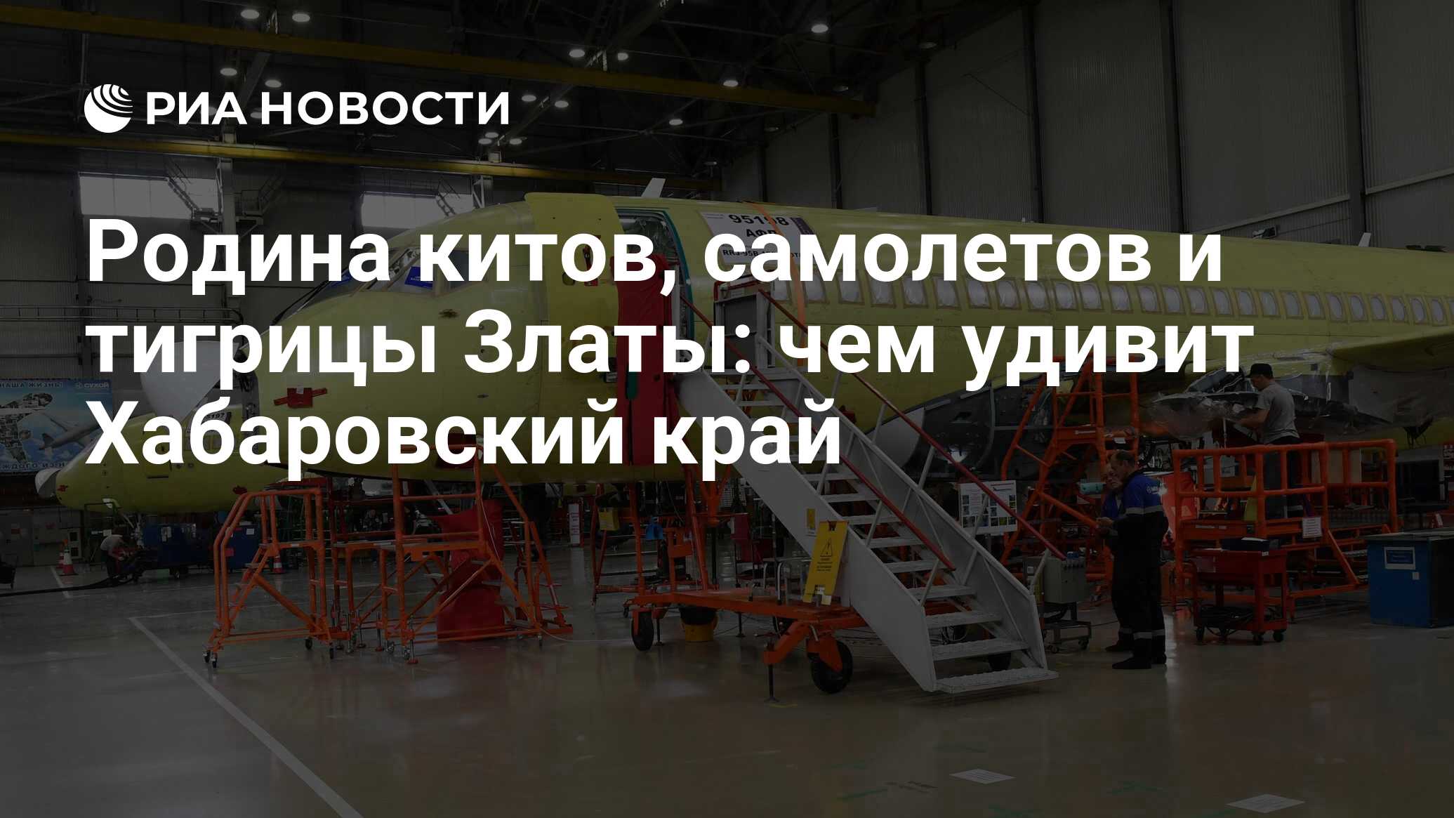 Родина китов, самолетов и тигрицы Златы: чем удивит Хабаровский край - РИА  Новости, 02.09.2023