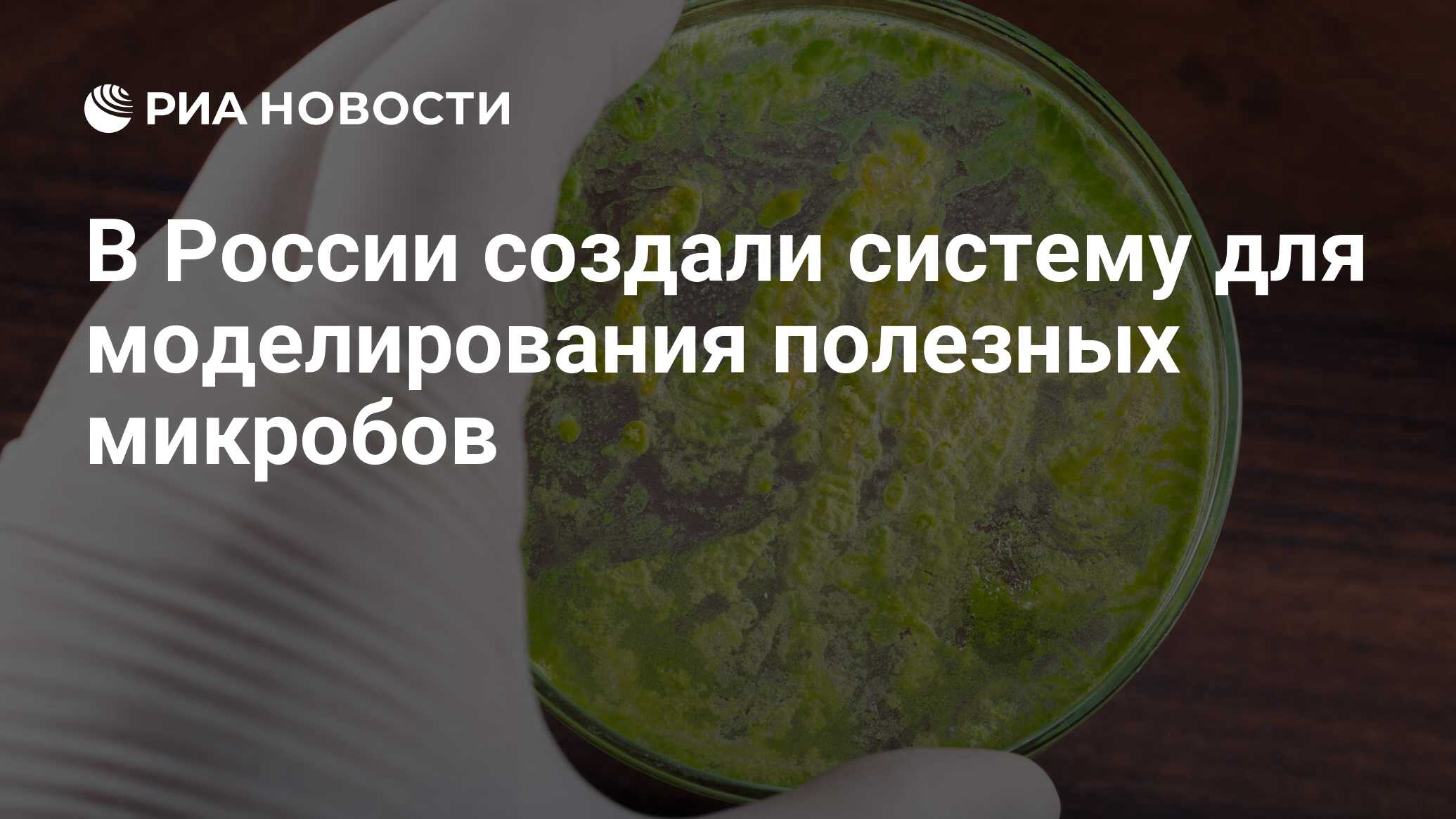 благоприятная среда для развития микроорганизмов. каждый день бактерия порождает 3 новых. бактерии введение для презентации. природная устойчивость микробов к антибиотикам. биография п.