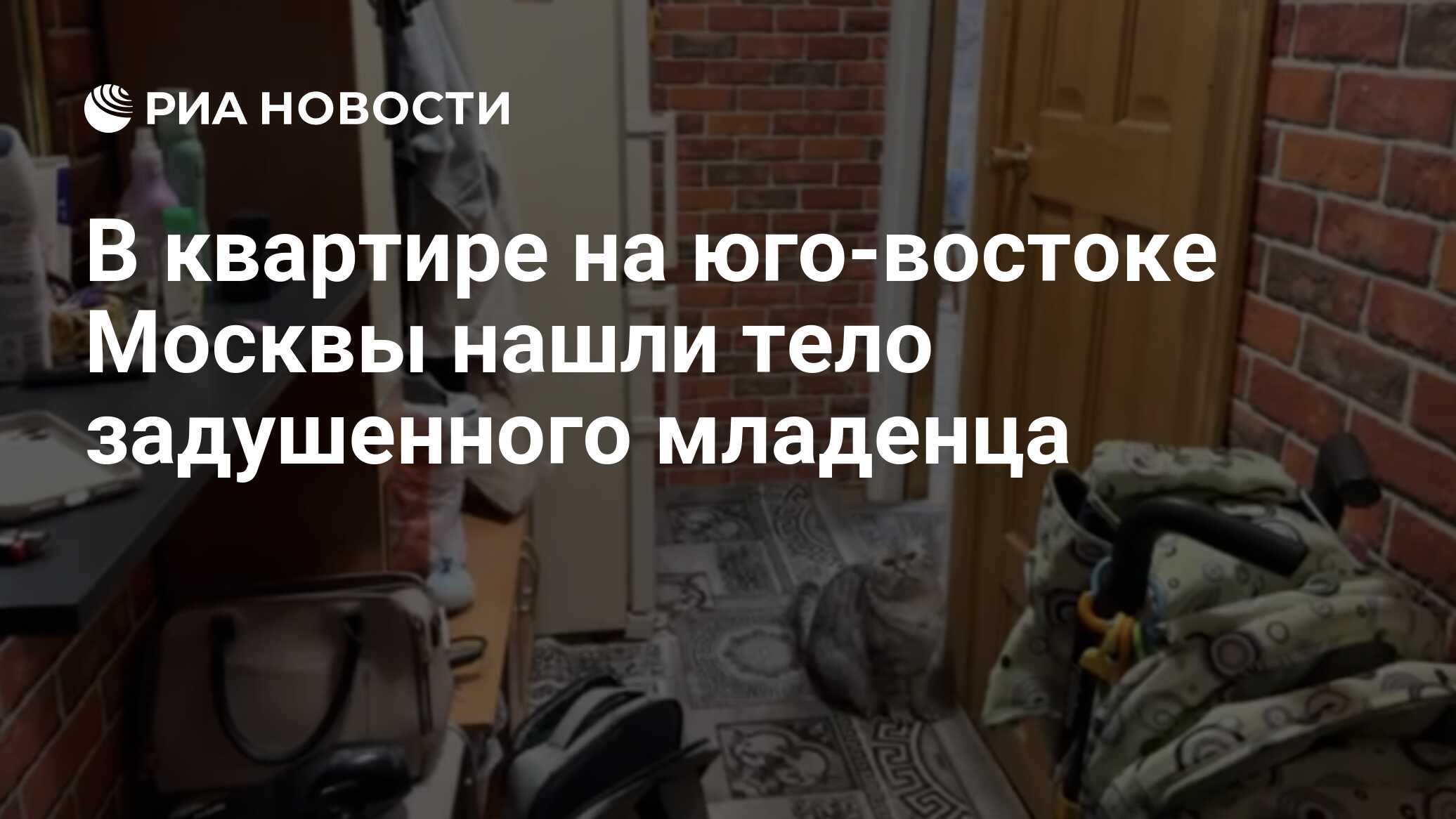 В квартире на юго-востоке Москвы нашли тело задушенного младенца - РИА  Новости, 19.09.2023