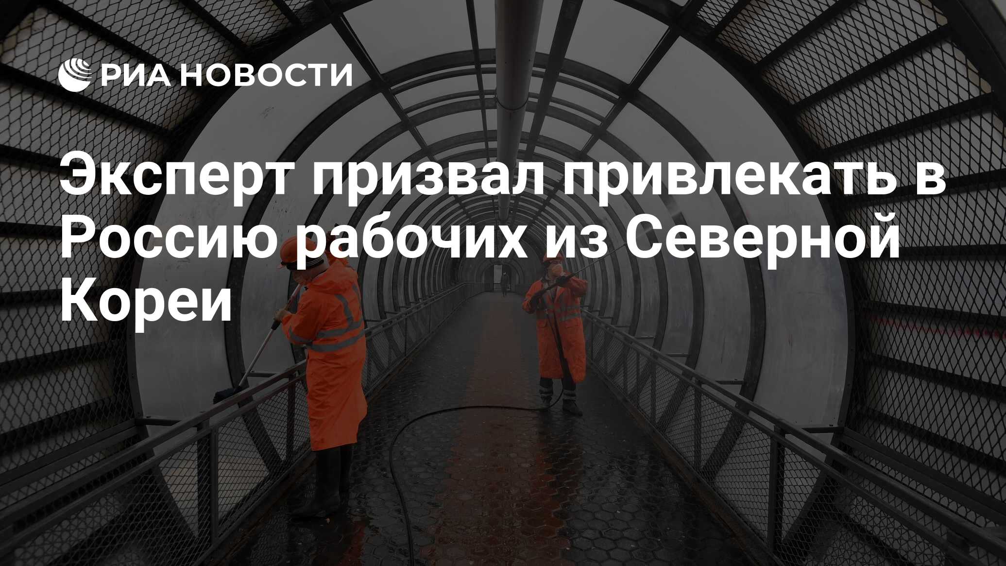 Эксперт призвал привлекать в Россию рабочих из Северной Кореи - РИА  Новости, 24.09.2023