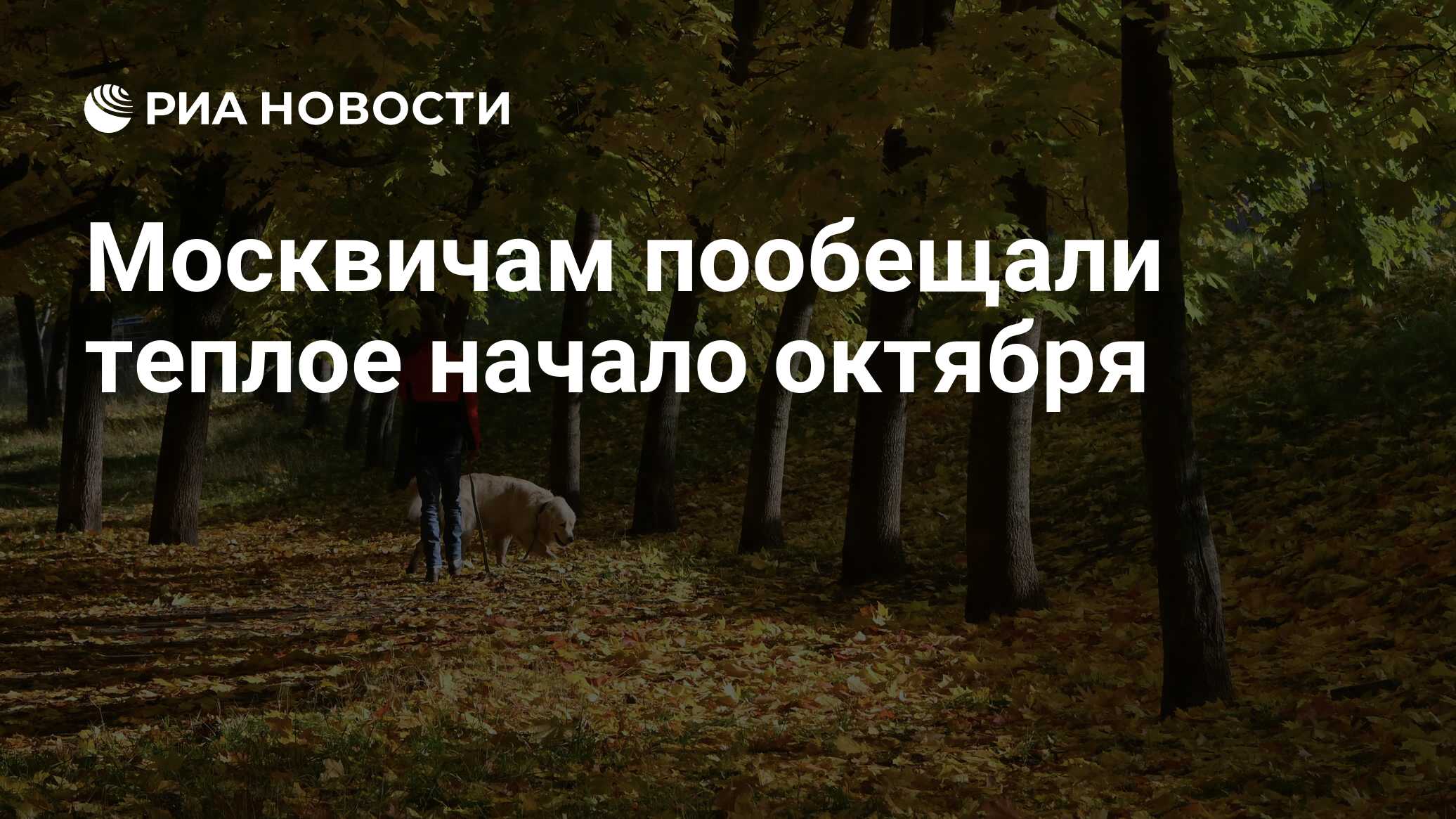Когда начнет теплее. Когда начнет теплее