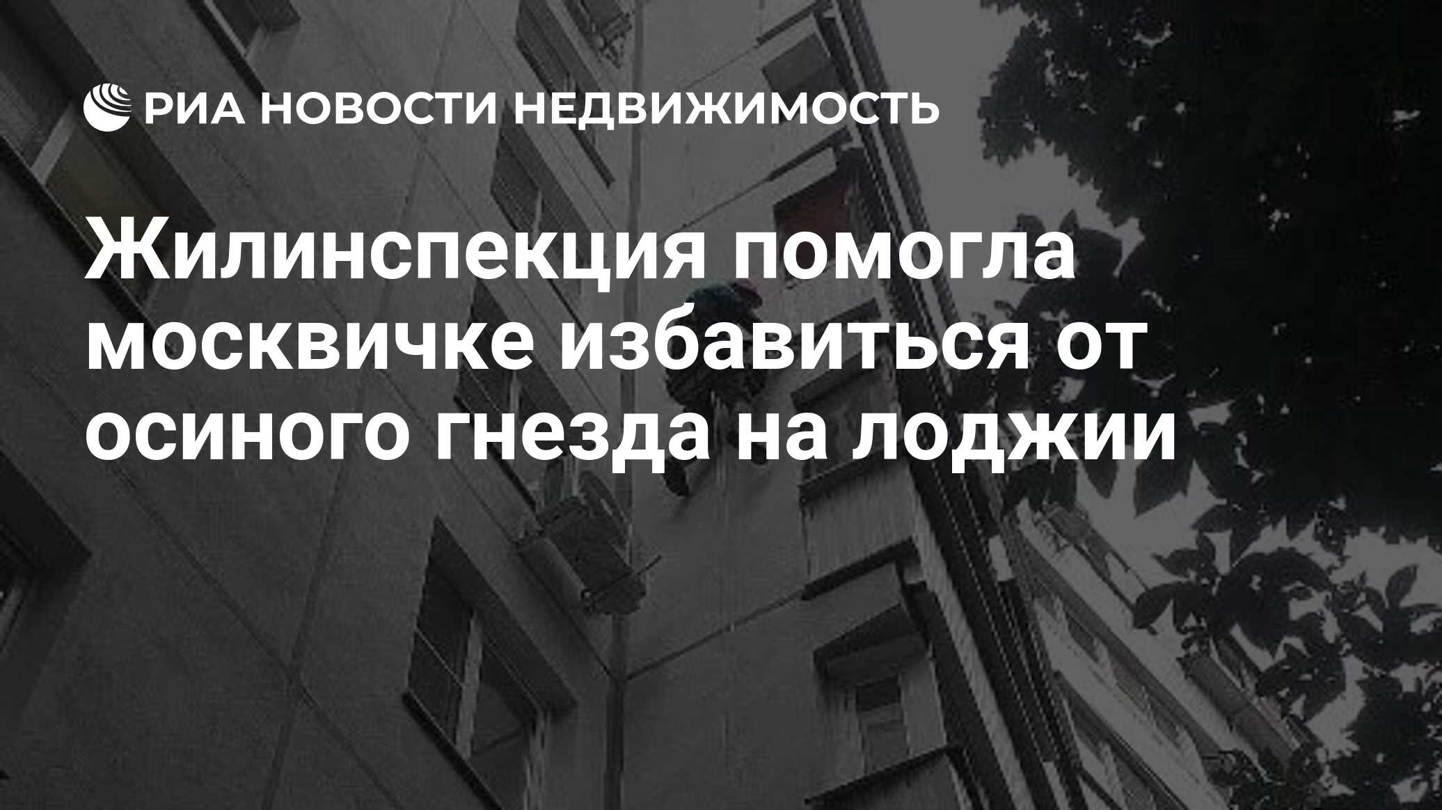 Жилинспекция помогла москвичке избавиться от осиного гнезда на лоджии -  Недвижимость РИА Новости, 29.09.2023