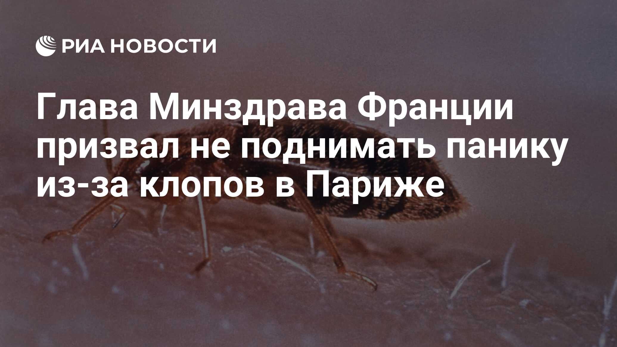 Глава Минздрава Франции призвал не поднимать панику из-за клопов в Париже -  РИА Новости, 03.10.2023