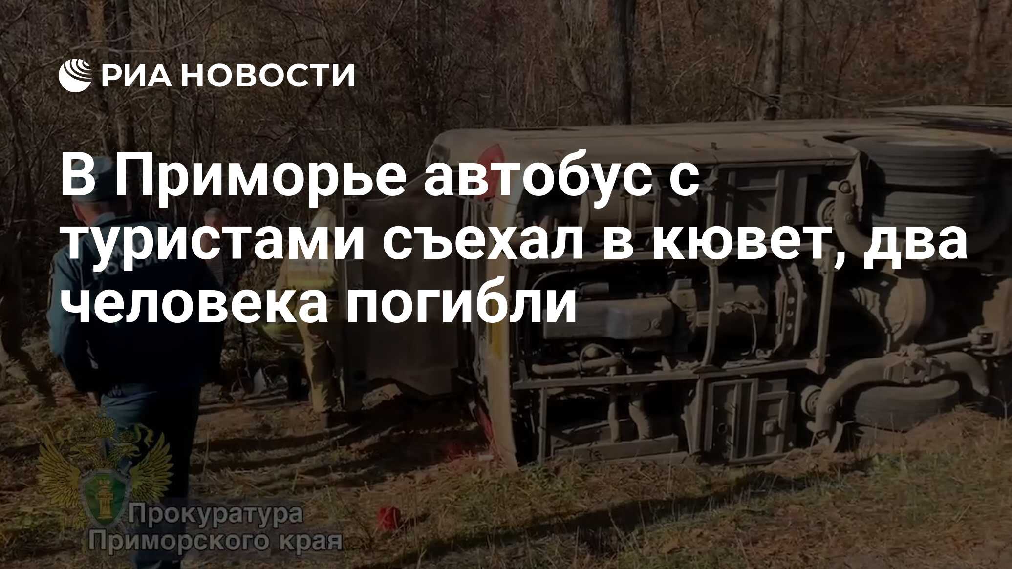 В Приморье автобус с туристами съехал в кювет, два человека погибли - РИА  Новости, 16.10.2023