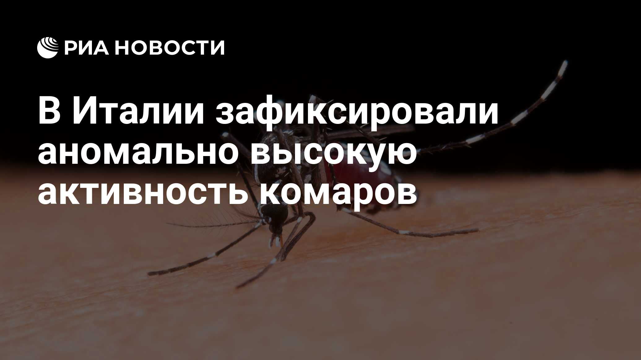 В Италии зафиксировали аномально высокую активность комаров - РИА Новости,  16.10.2023