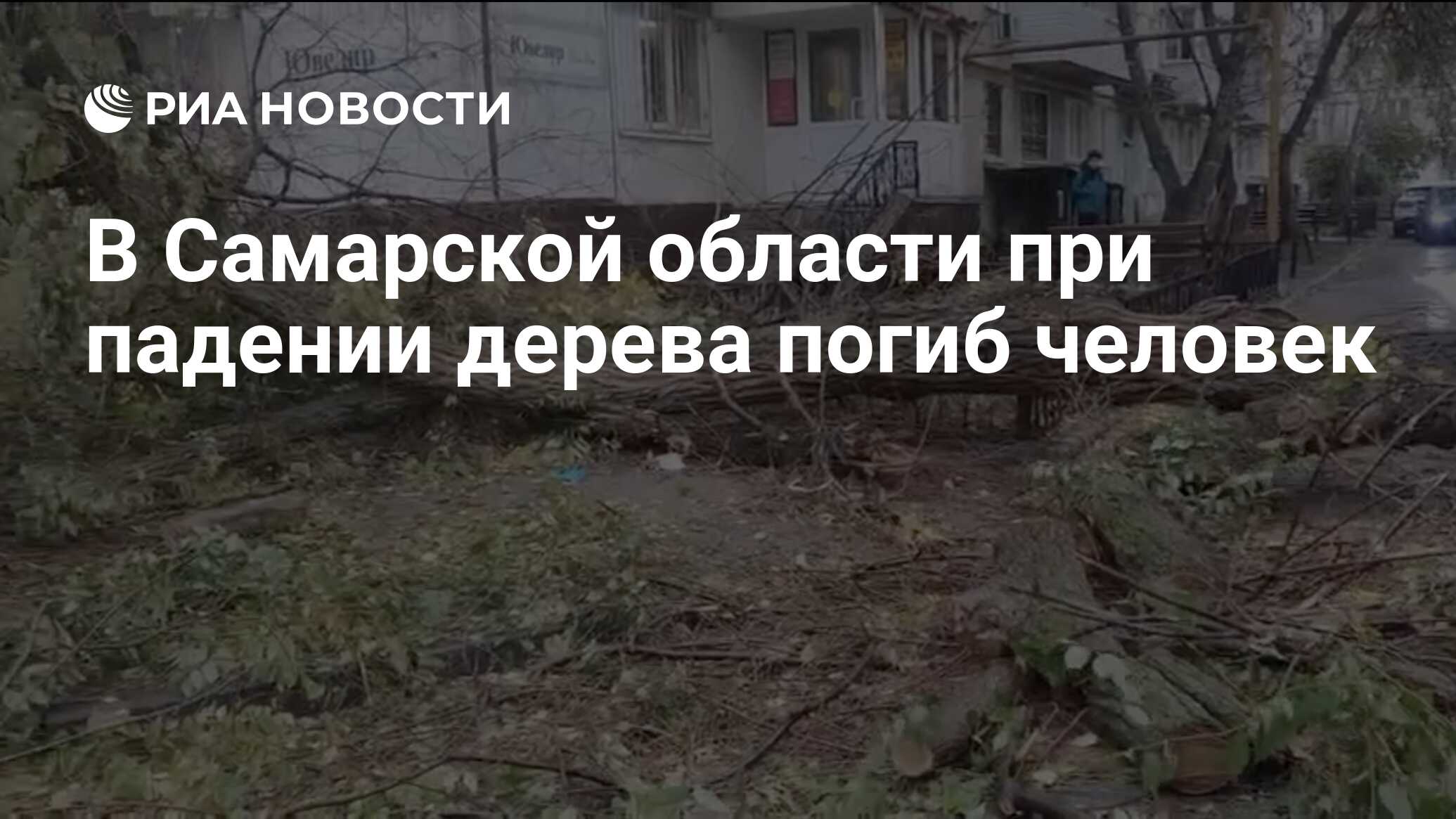 В Самарской области при падении дерева погиб человек - РИА Новости,  17.10.2023