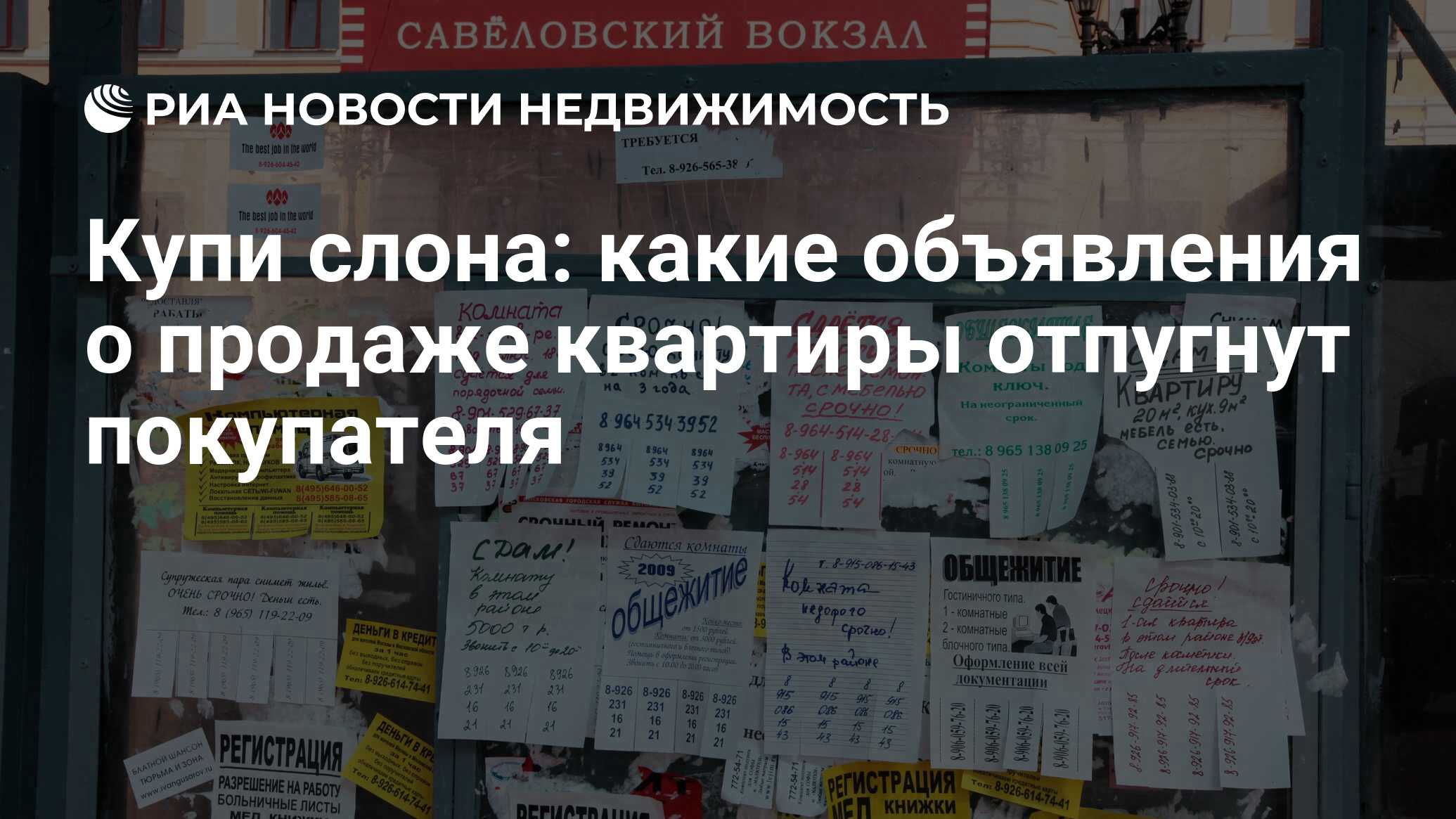 Купи слона: какие объявления о продаже квартиры отпугнут покупателя -  Недвижимость РИА Новости, 20.10.2023