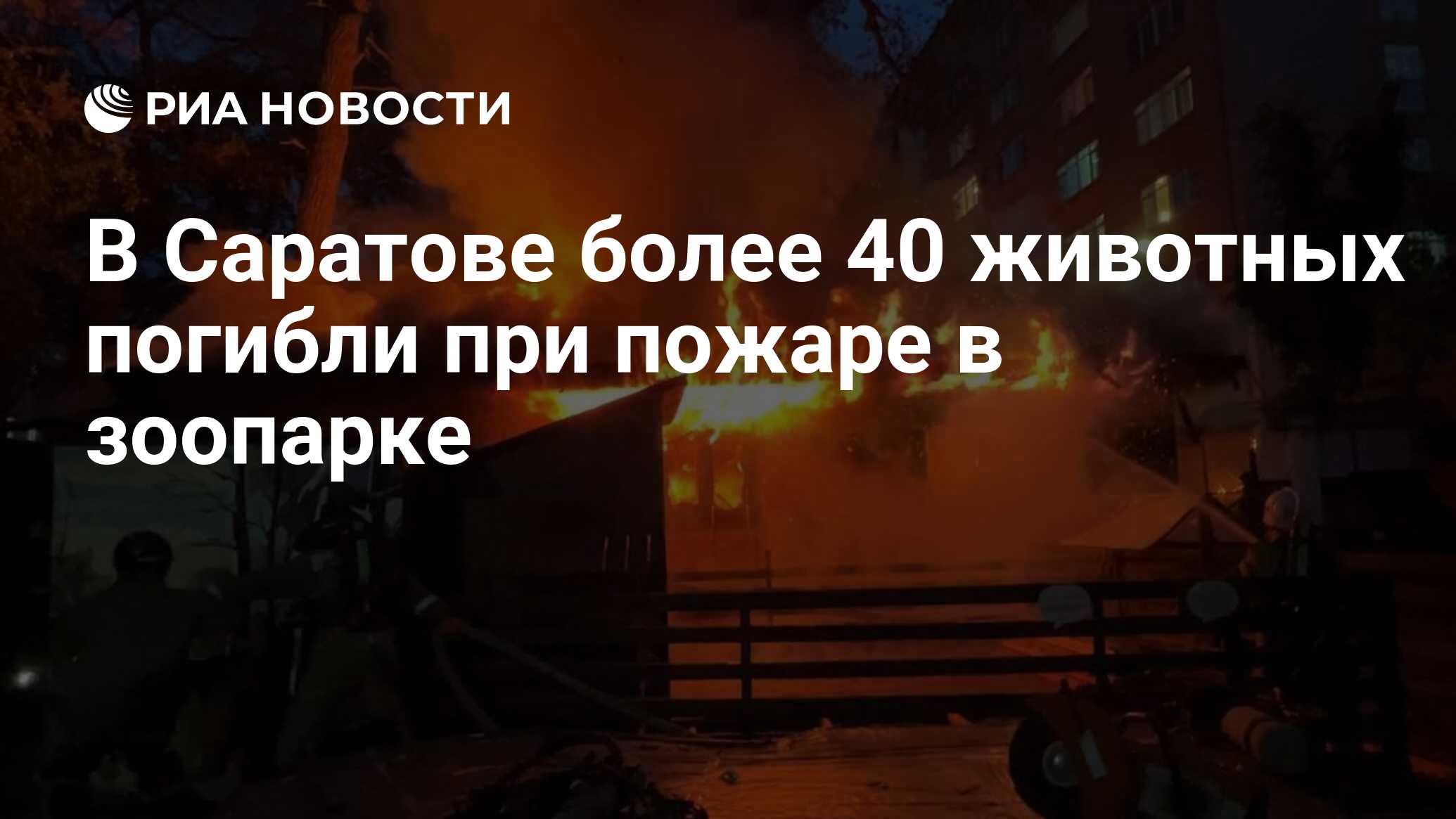 В Саратове более 40 животных погибли при пожаре в зоопарке - РИА Новости,  26.10.2023