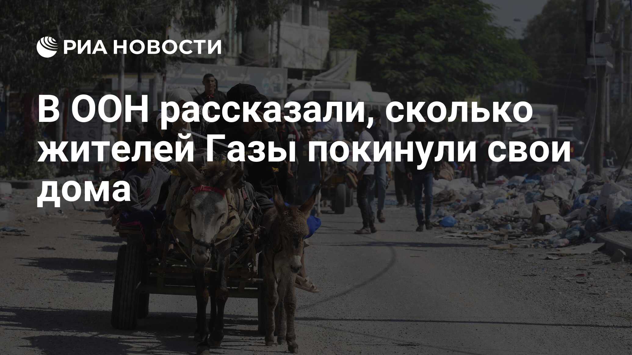 В ООН рассказали, сколько жителей Газы покинули свои дома - РИА Новости,  30.10.2023