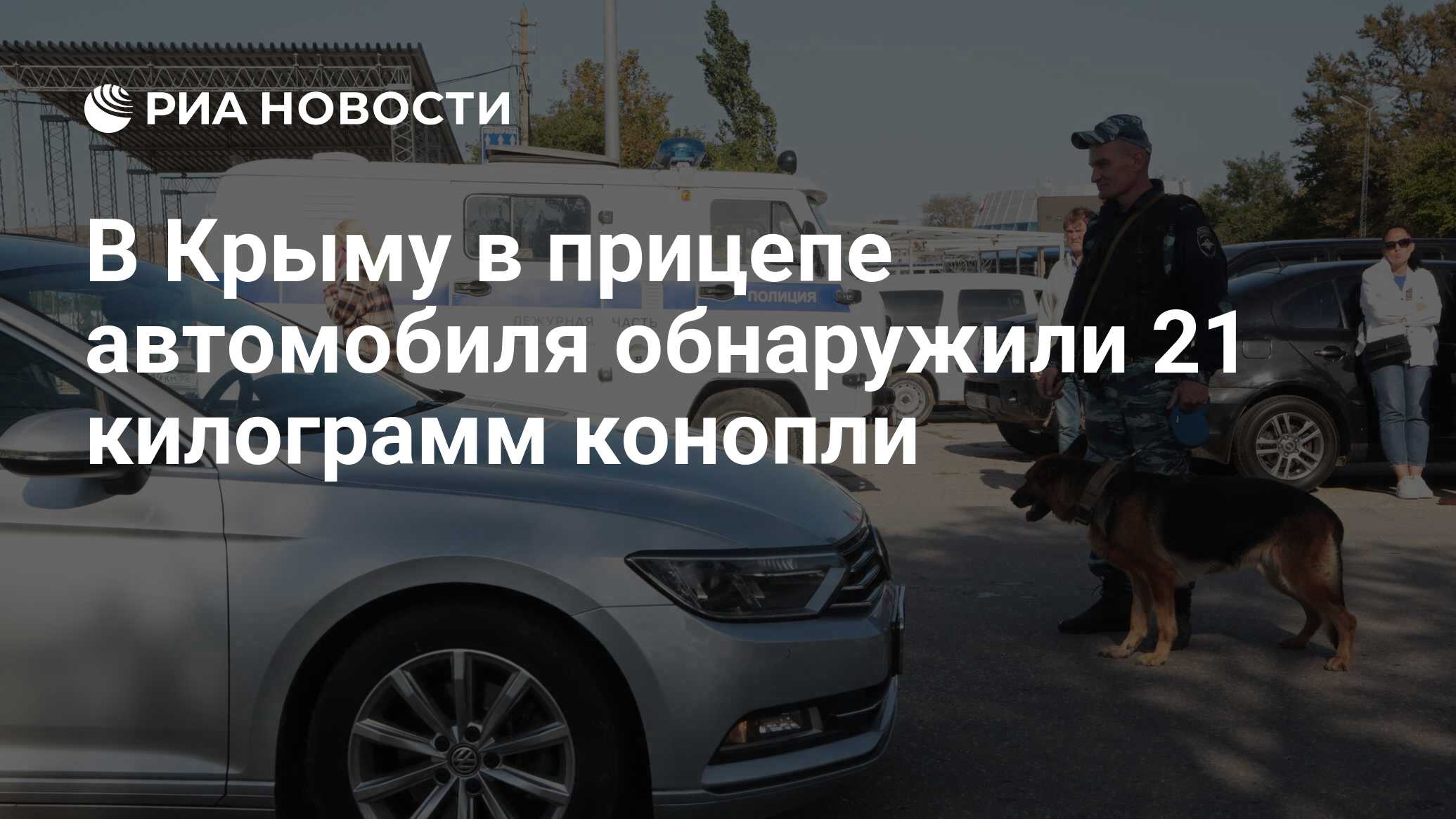 В Крыму в прицепе автомобиля обнаружили 21 килограмм конопли - РИА Новости,  01.11.2023