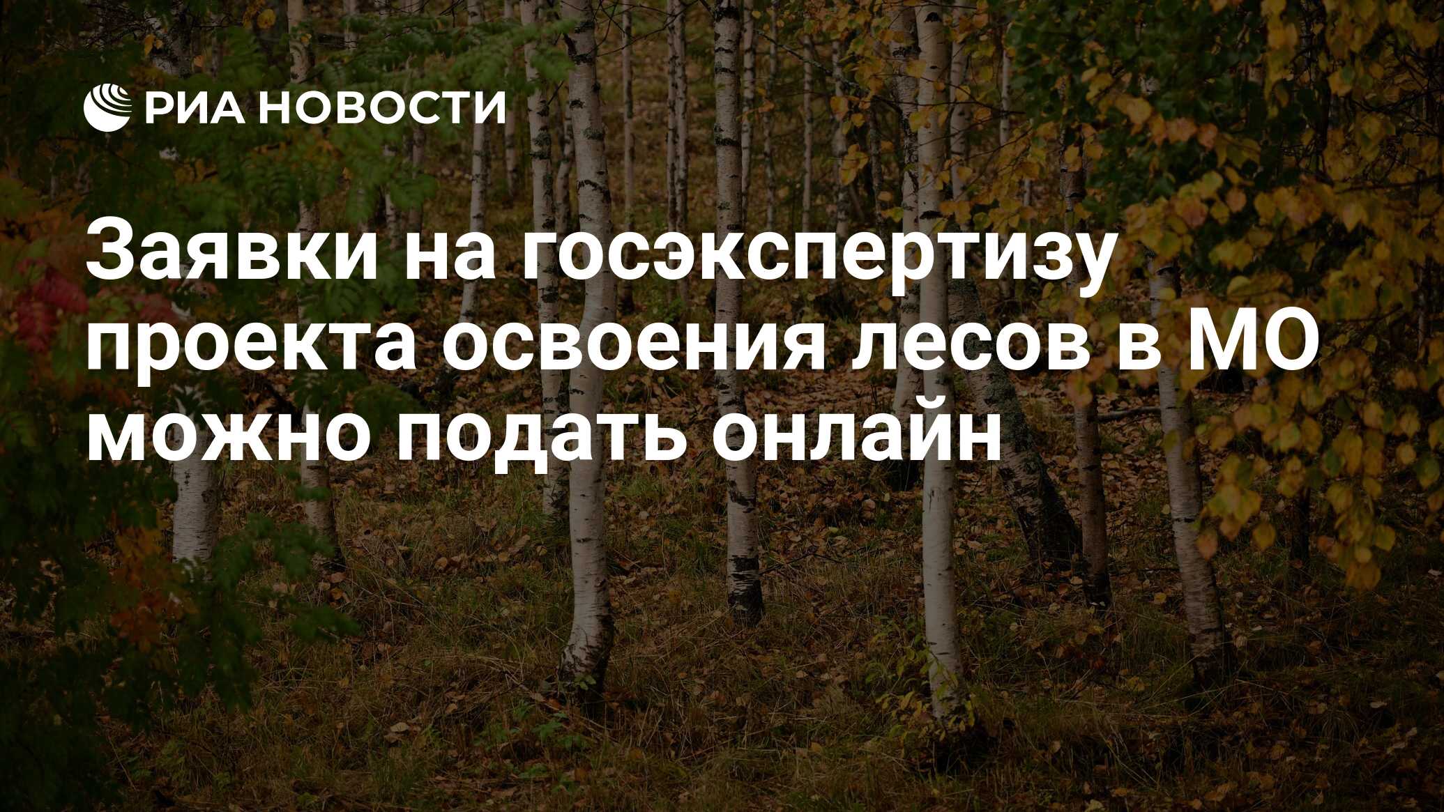 Проведение государственной экспертизы проектов освоения лесов. Проект освоения лесов.