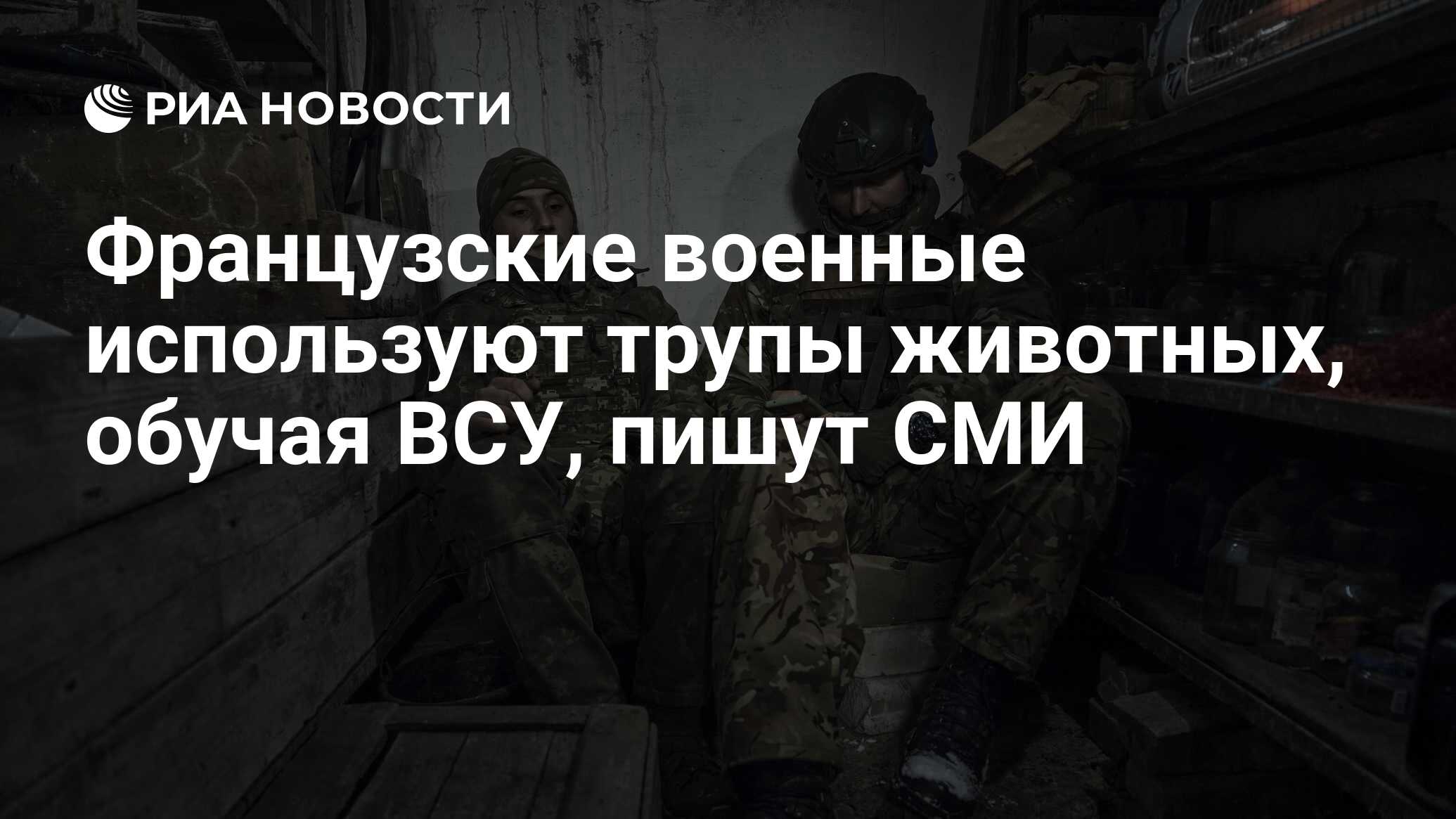 Французские военные используют трупы животных, обучая ВСУ, пишут СМИ - РИА  Новости, 13.11.2023