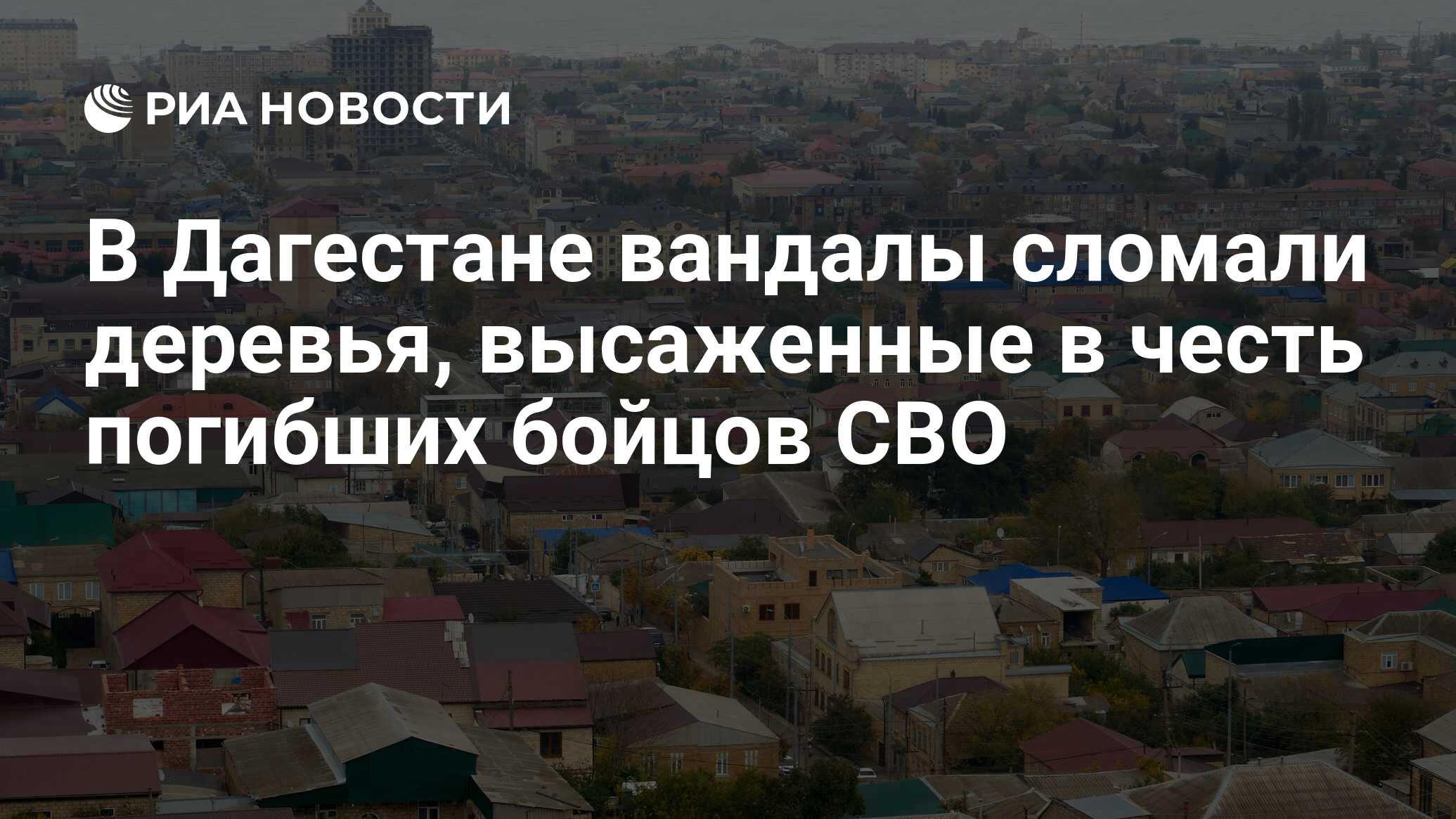 В Дагестане вандалы сломали деревья, высаженные в честь погибших бойцов СВО  - РИА Новости, 13.11.2023