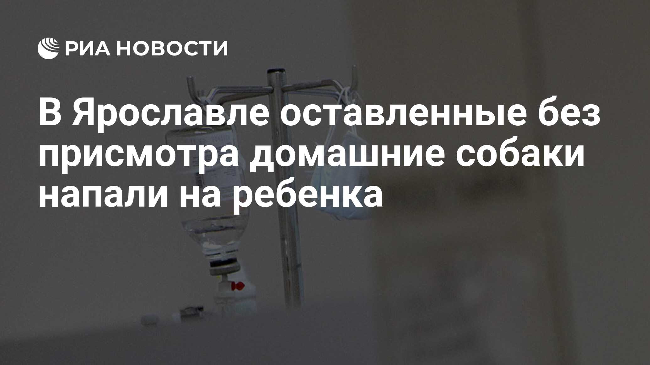 В Ярославле оставленные без присмотра домашние собаки напали на ребенка -  РИА Новости, 15.11.2023