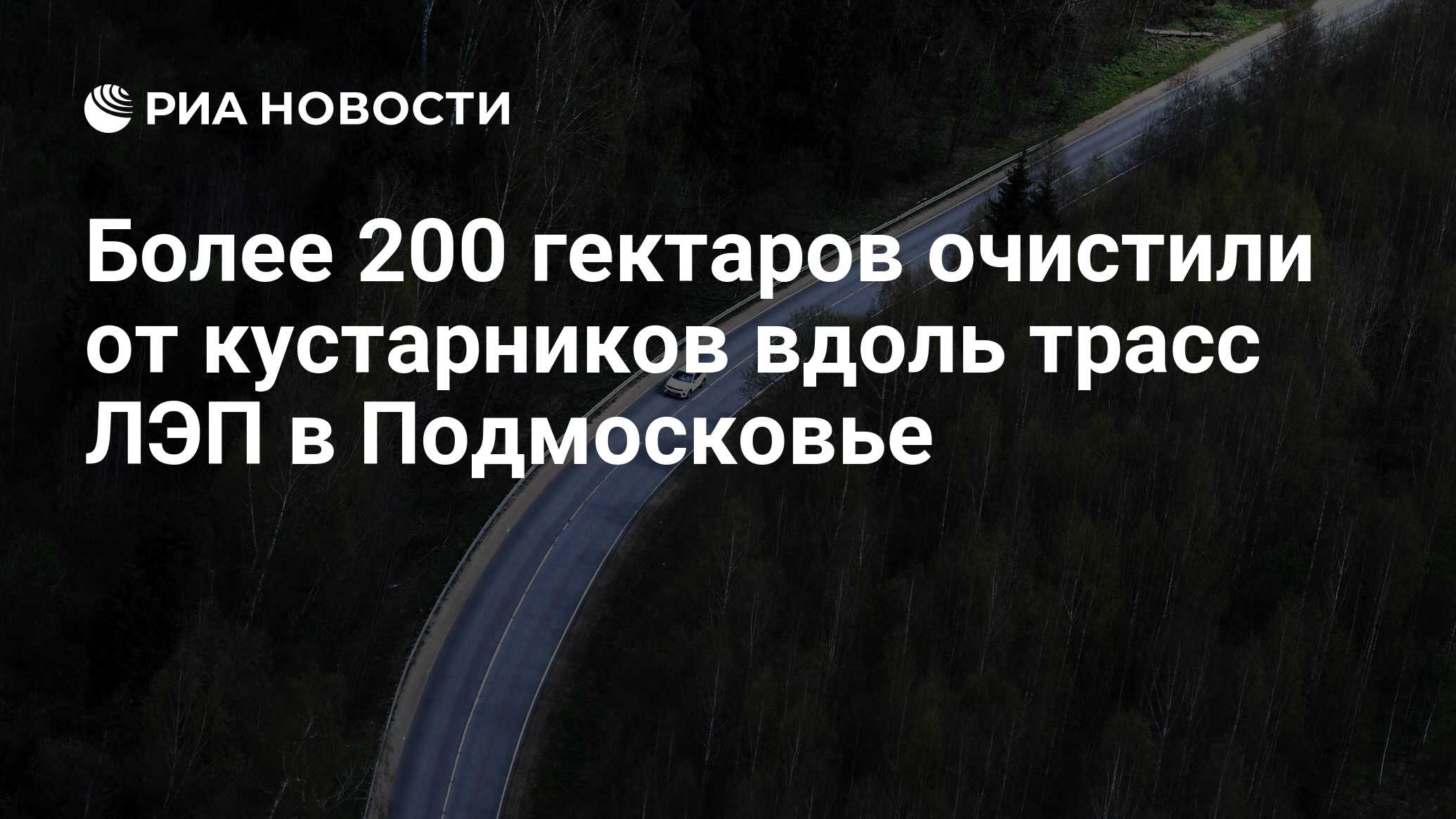 Более 200 гектаров очистили от кустарников вдоль трасс ЛЭП в Подмосковье -  РИА Новости, 15.11.2023