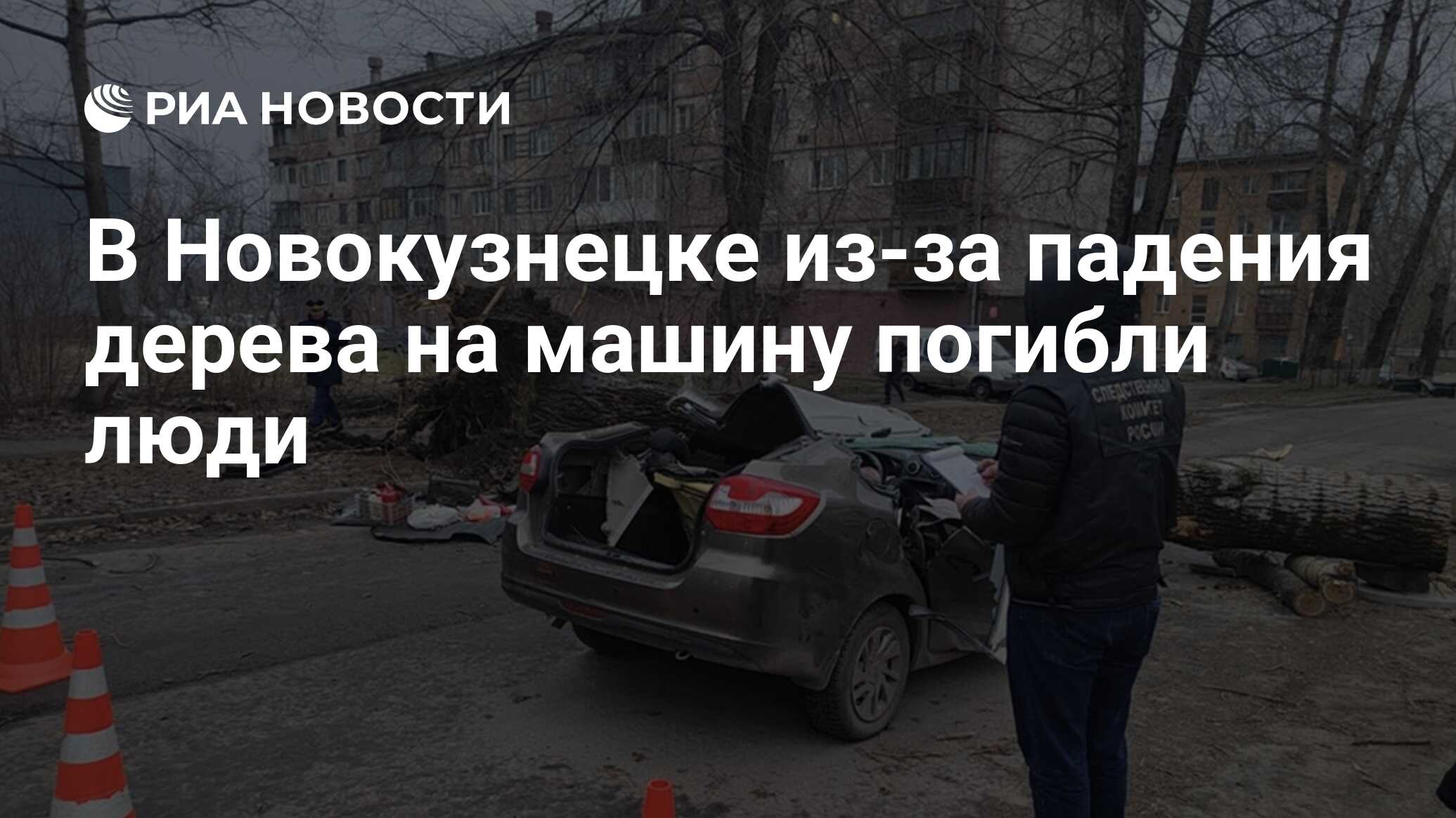 В Новокузнецке из-за падения дерева на машину погибли люди - РИА Новости,  19.11.2023