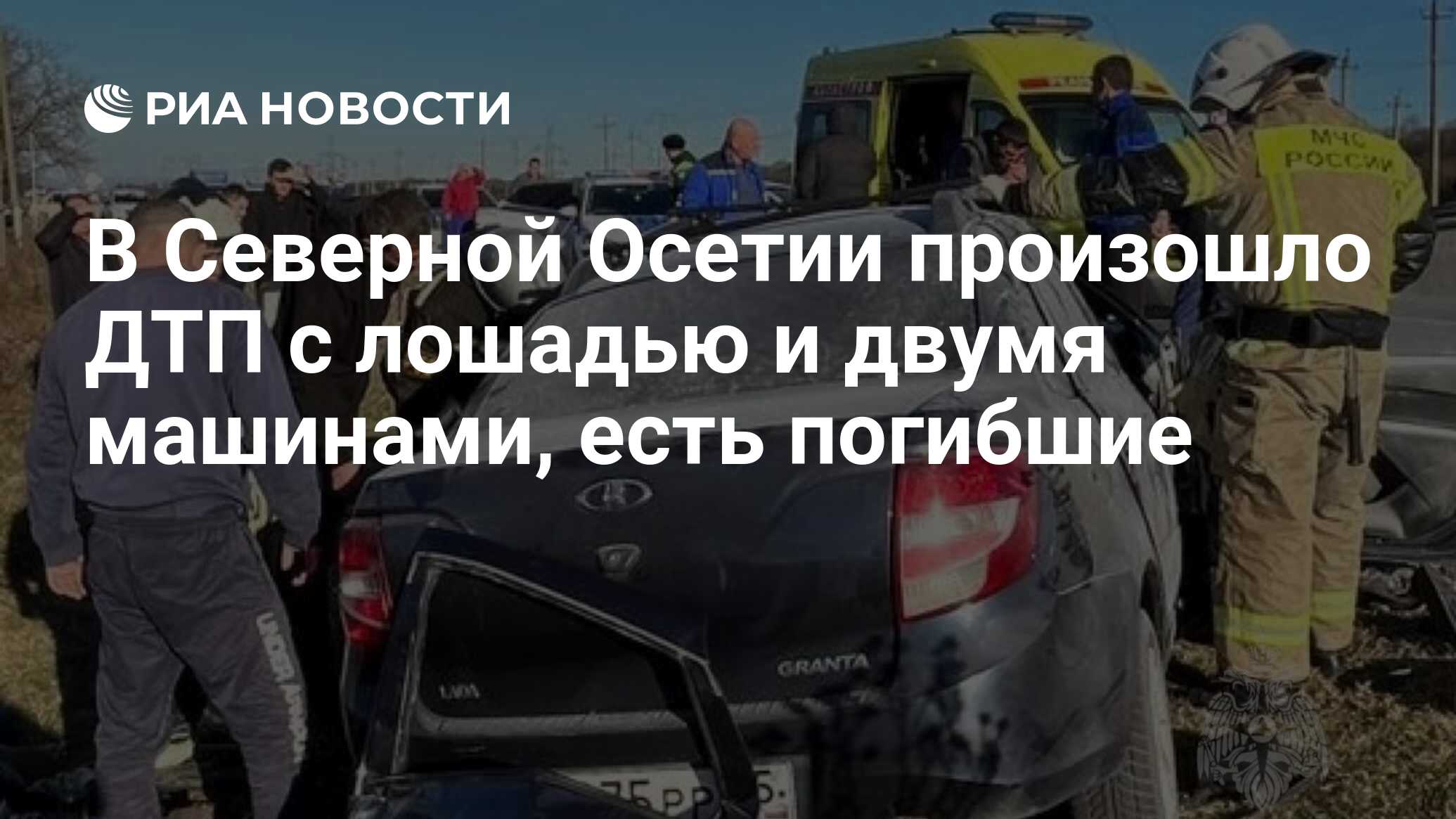 В Северной Осетии произошло ДТП с лошадью и двумя машинами, есть погибшие -  РИА Новости, 22.11.2023