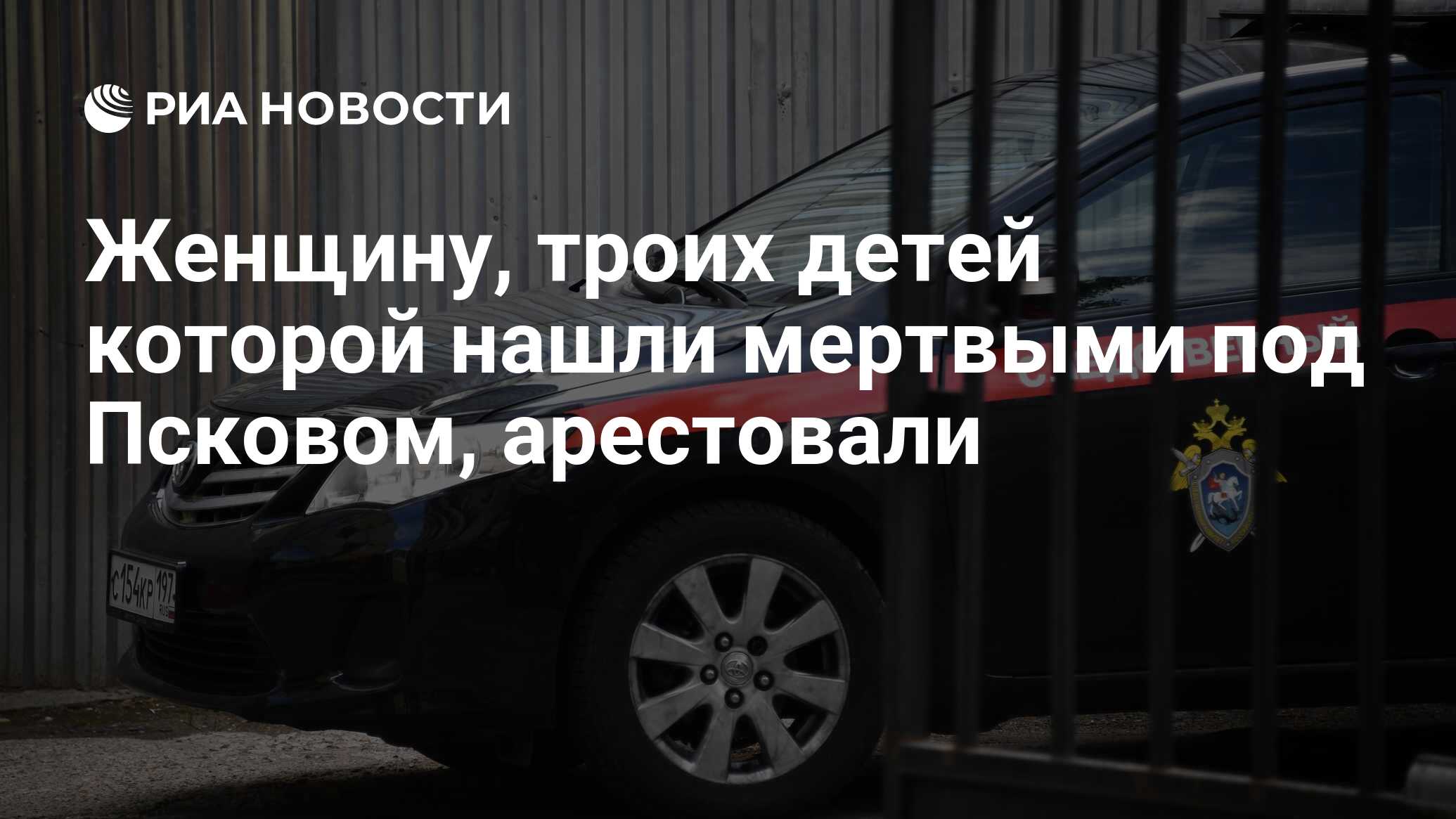 Женщину, троих детей которой нашли мертвыми под Псковом, арестовали - РИА  Новости, 25.11.2023