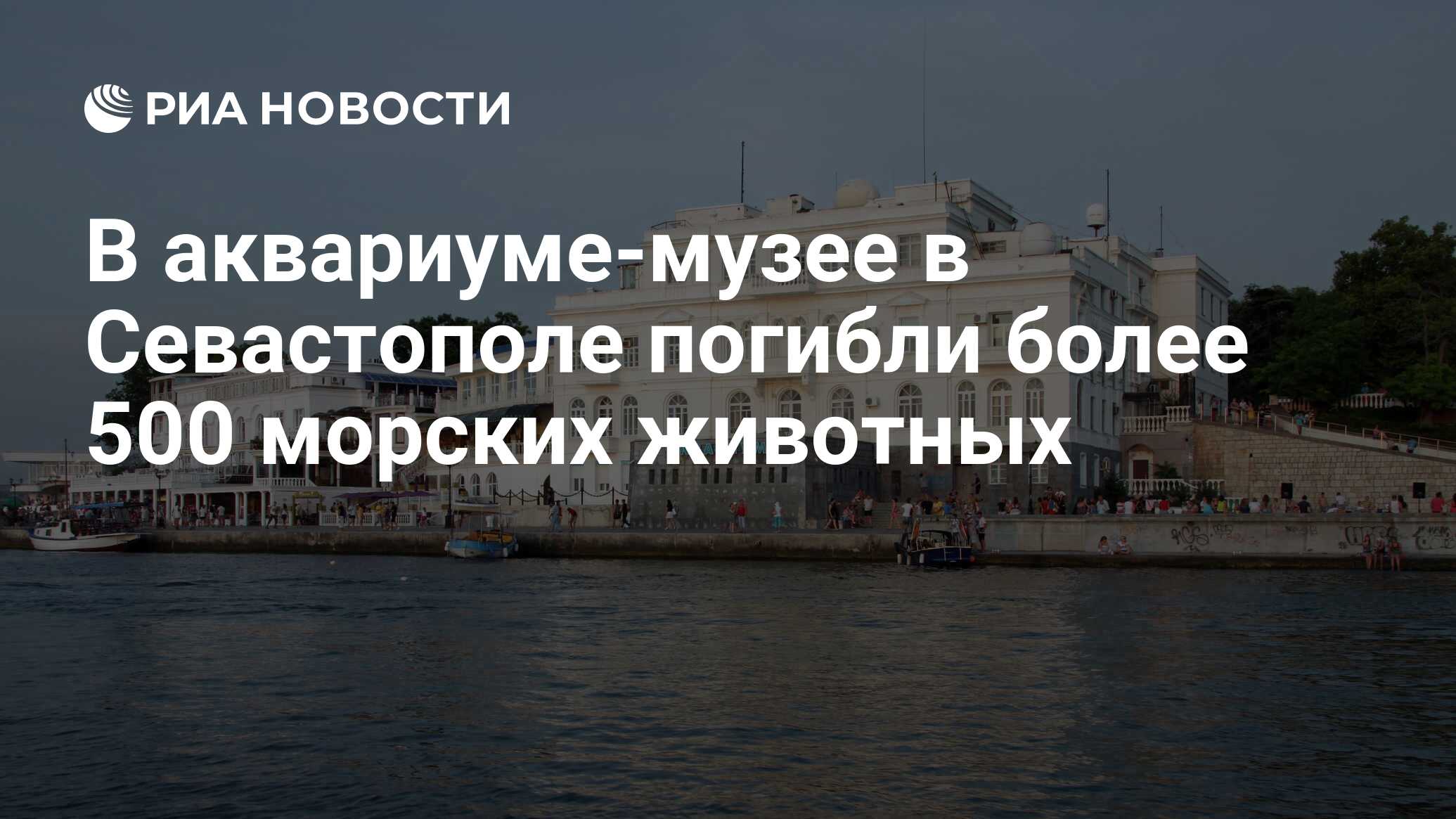 В севастополе затопило зал музея аквариума