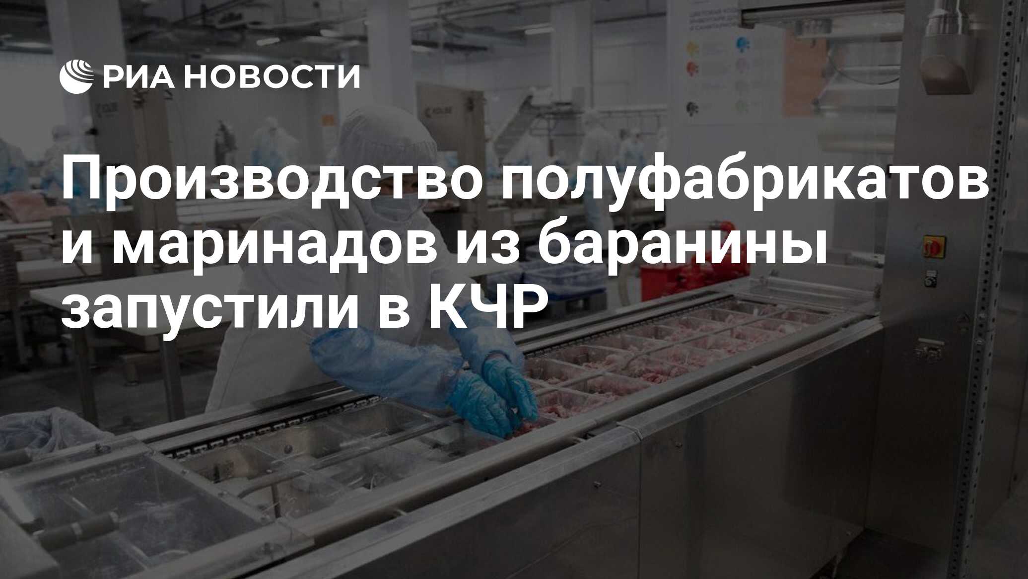 Производство полуфабрикатов и маринадов из баранины запустили в КЧР - РИА  Новости, 08.12.2023