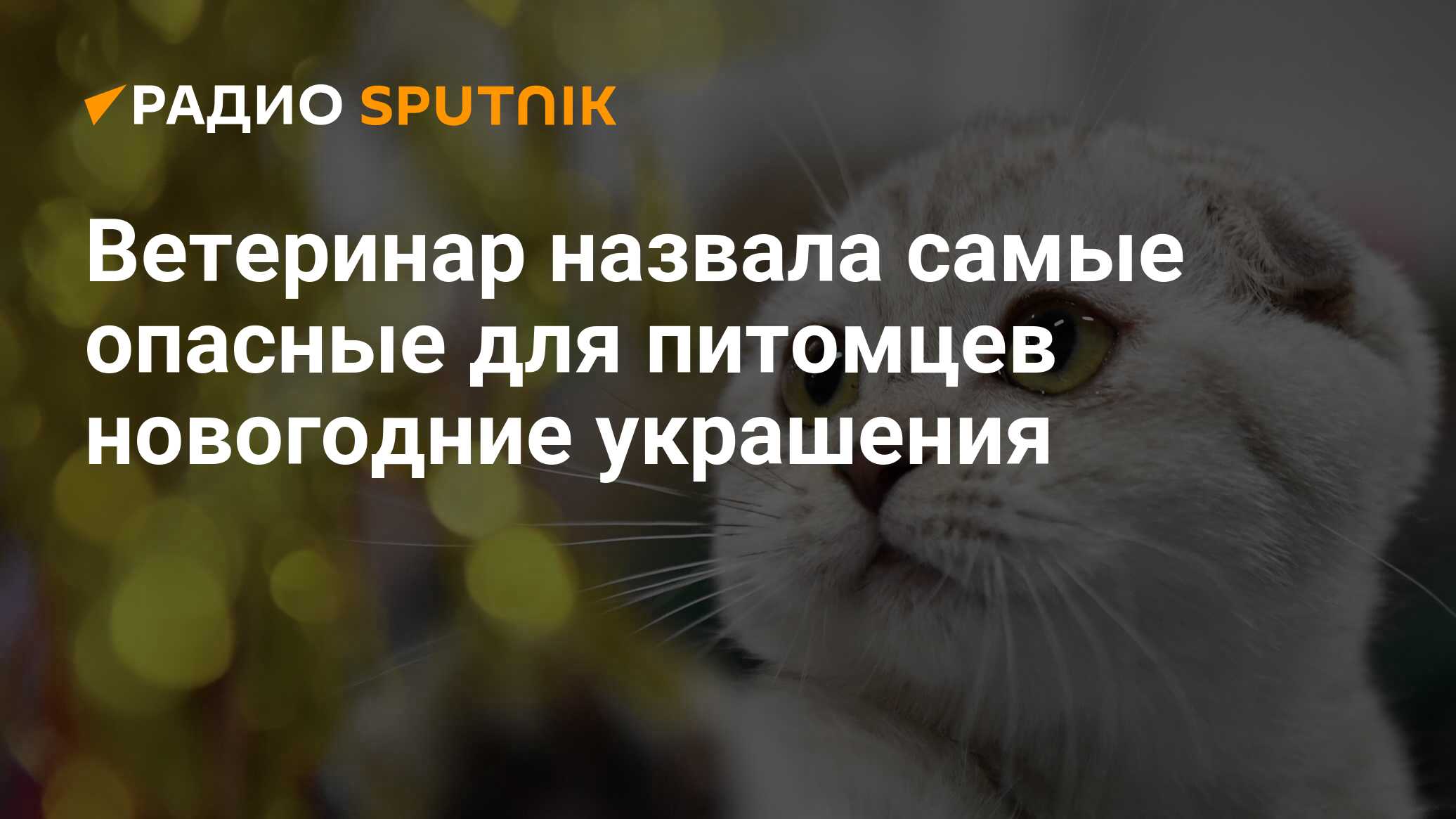 Ветеринар назвала самые опасные для питомцев новогодние украшения - Радио  Sputnik, 09.12.2023