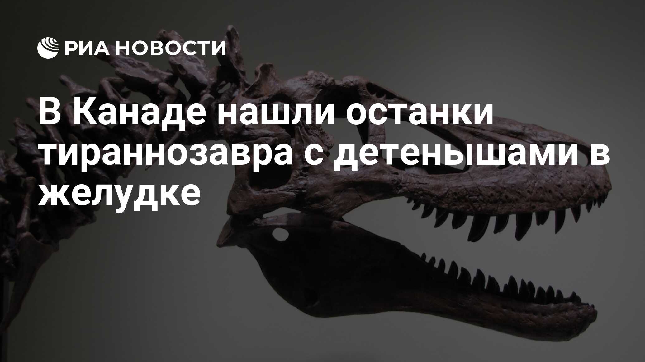 Останки тираннозавра с двумя детенышами в желудке обнаружили в Канаде