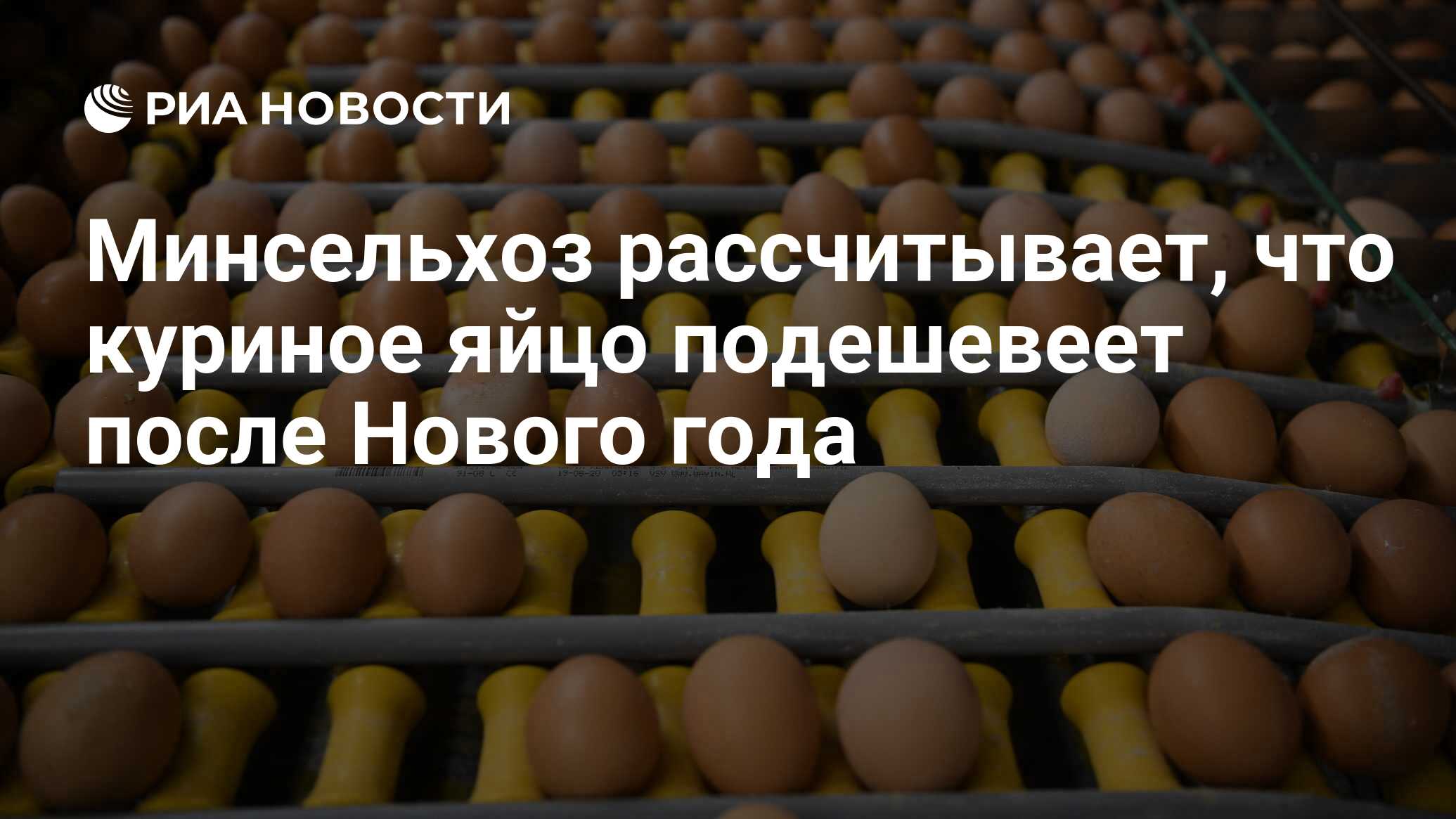 Минсельхоз рассчитывает, что куриное яйцо подешевеет после Нового года -  РИА Новости, 17.12.2023