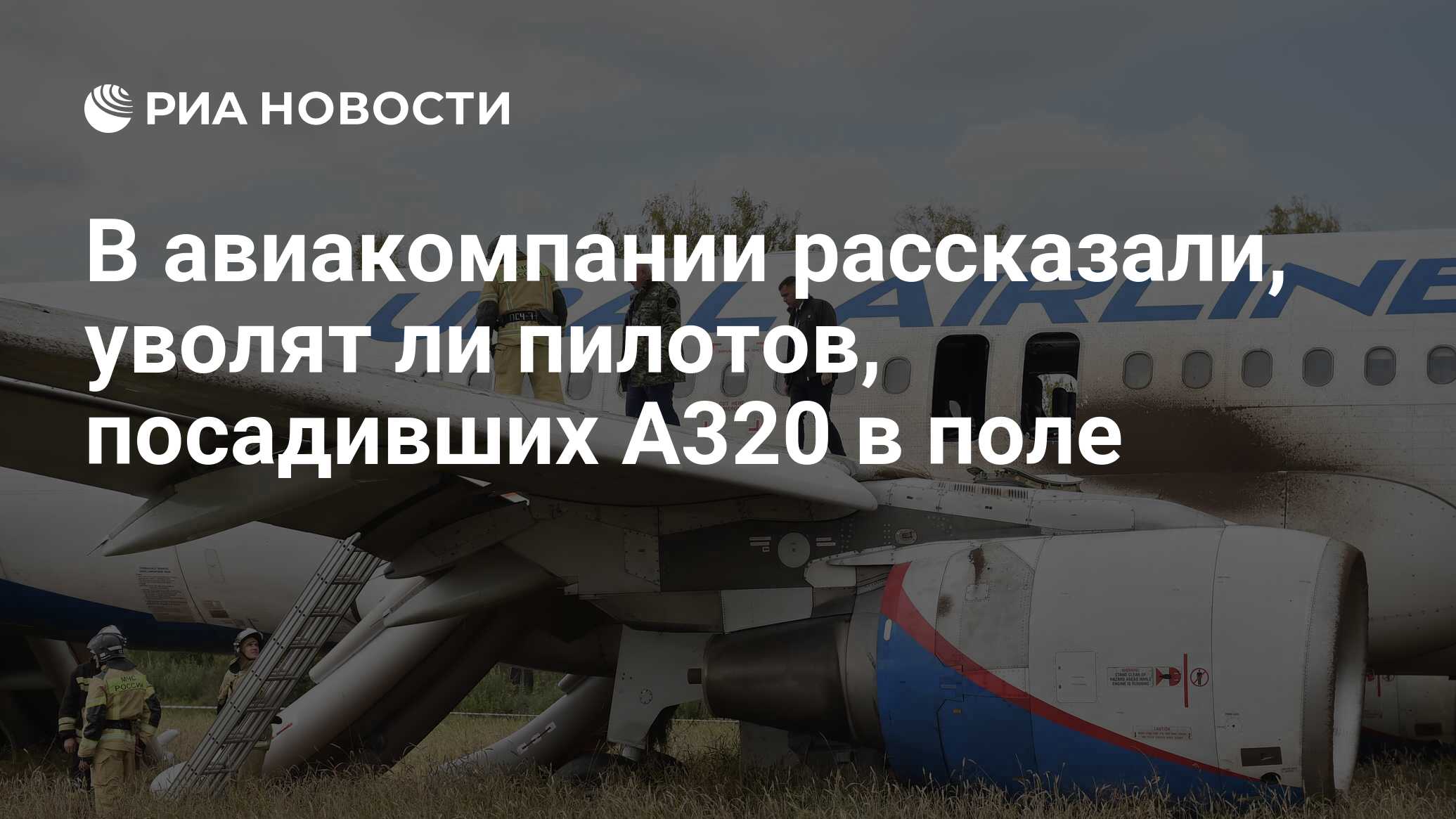 В авиакомпании рассказали, уволят ли пилотов, посадивших A320 в поле