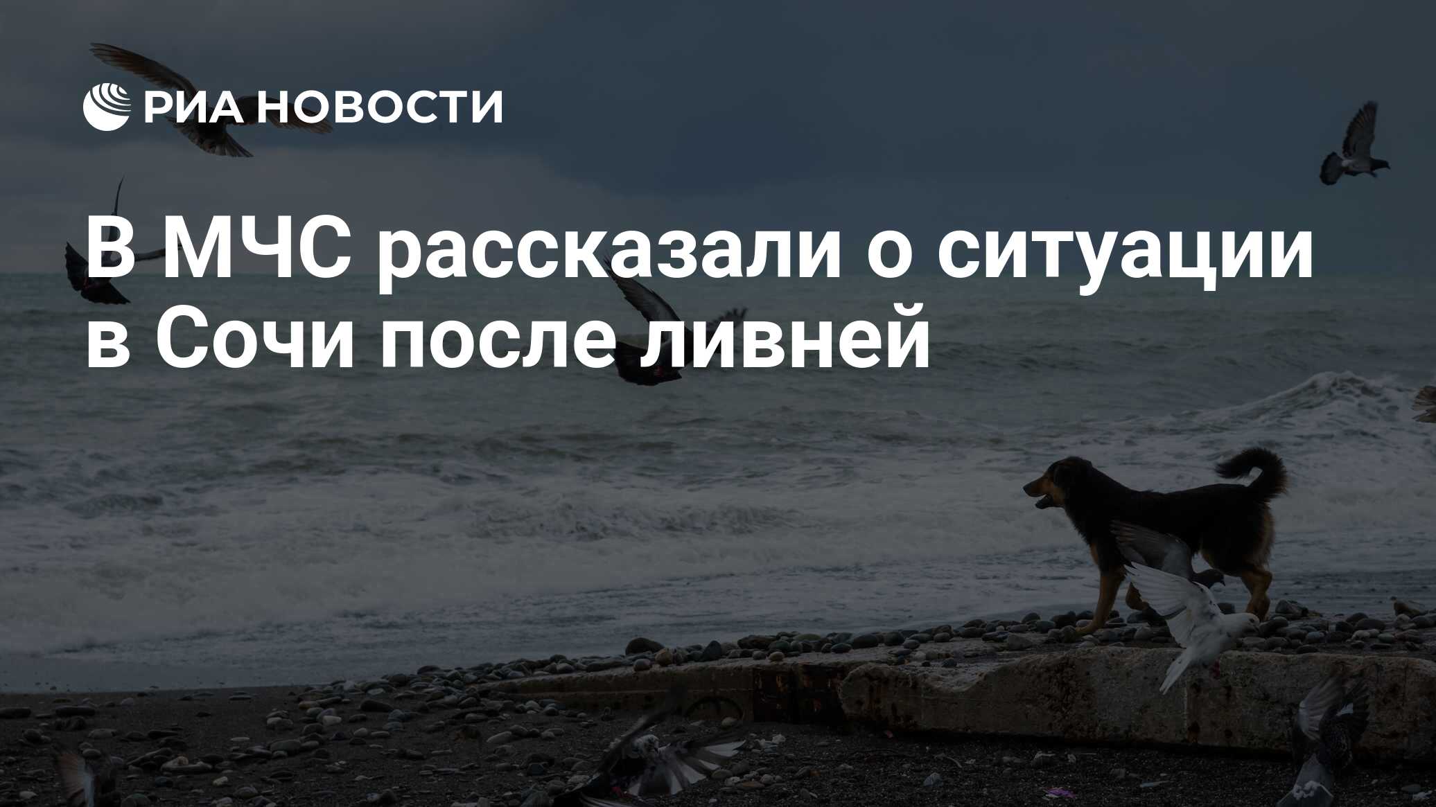 В МЧС рассказали о ситуации в Сочи после ливней