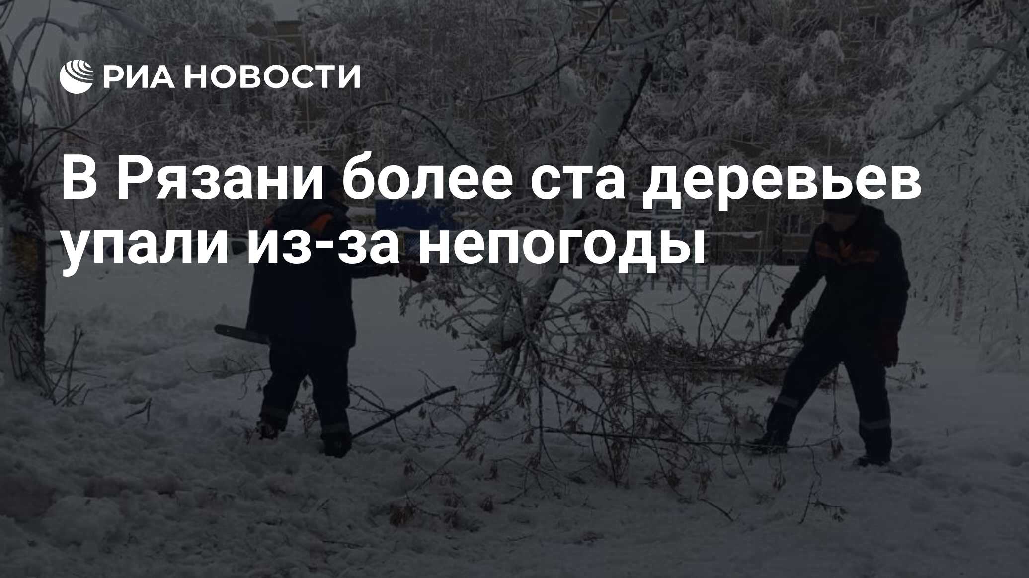 В Рязани более ста деревьев упали из-за непогоды